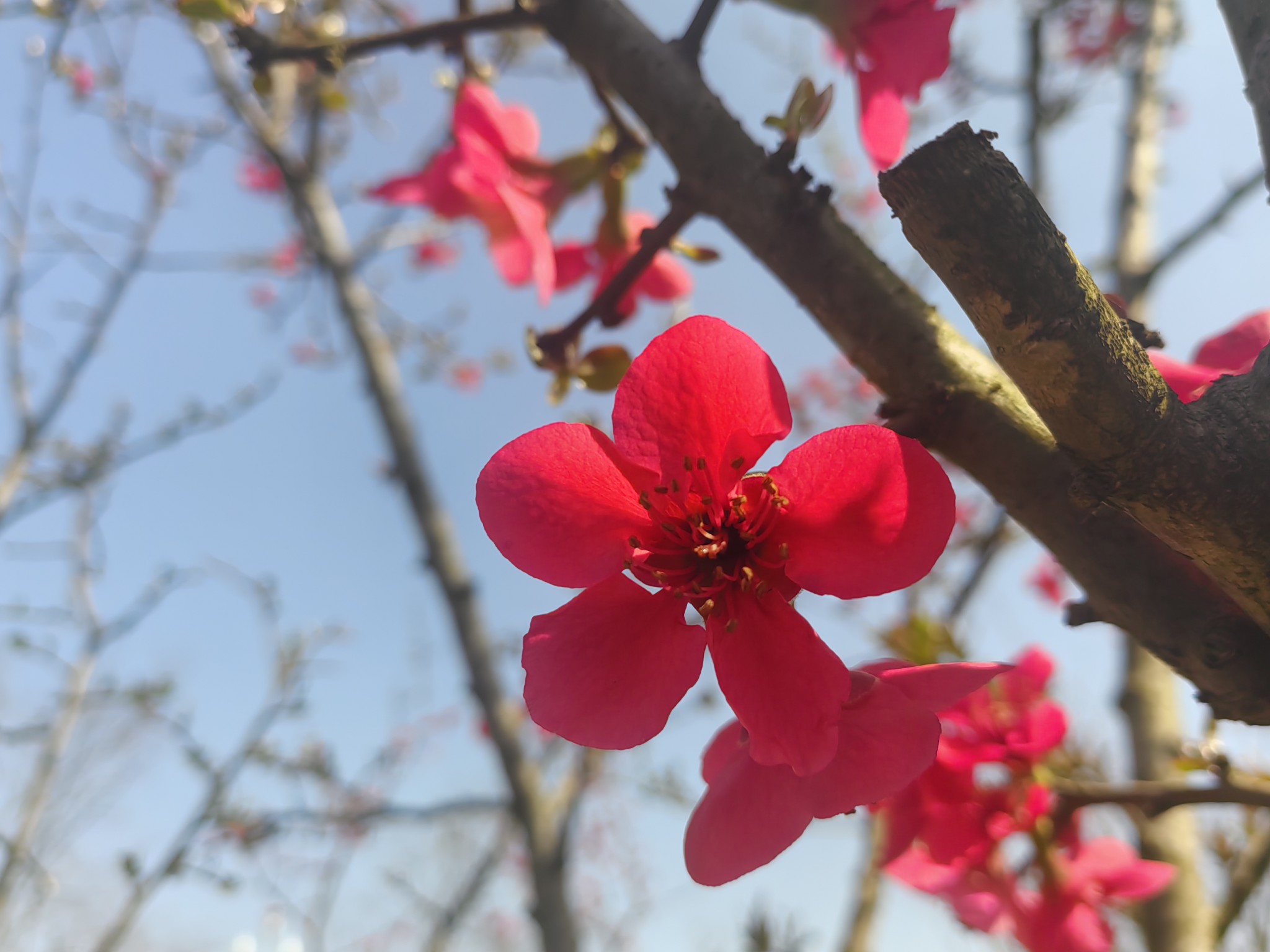 图片附件