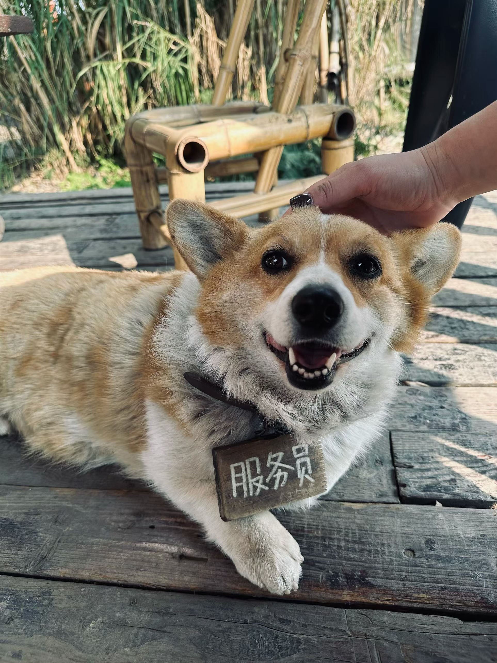图片附件