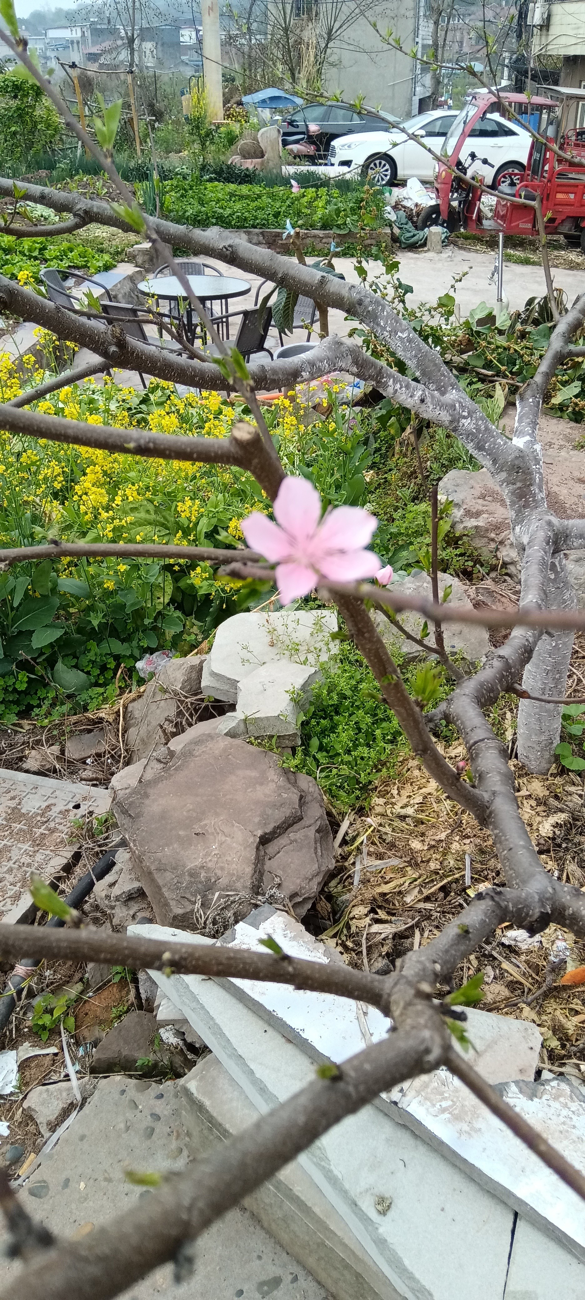 图片附件