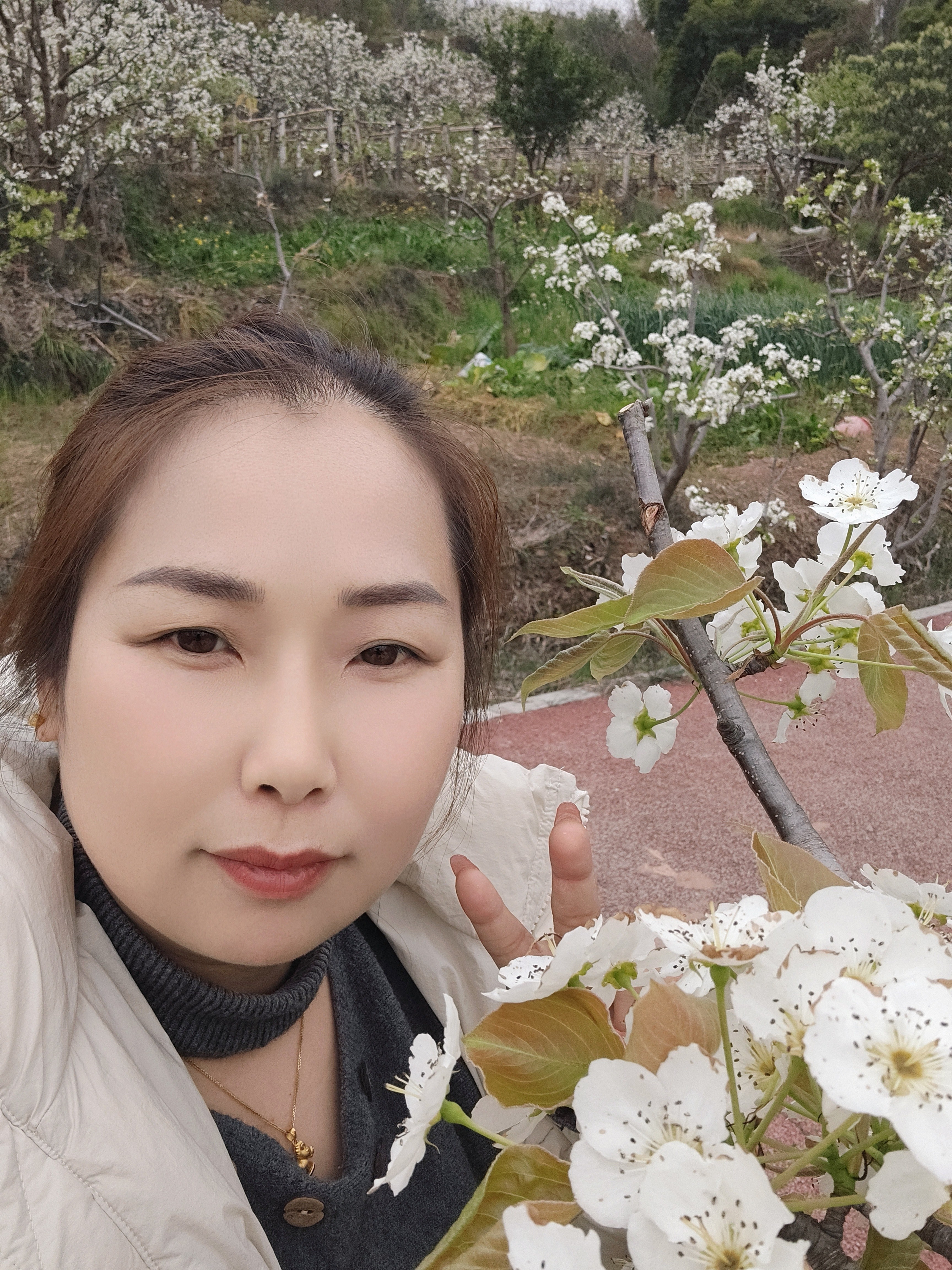 图片附件