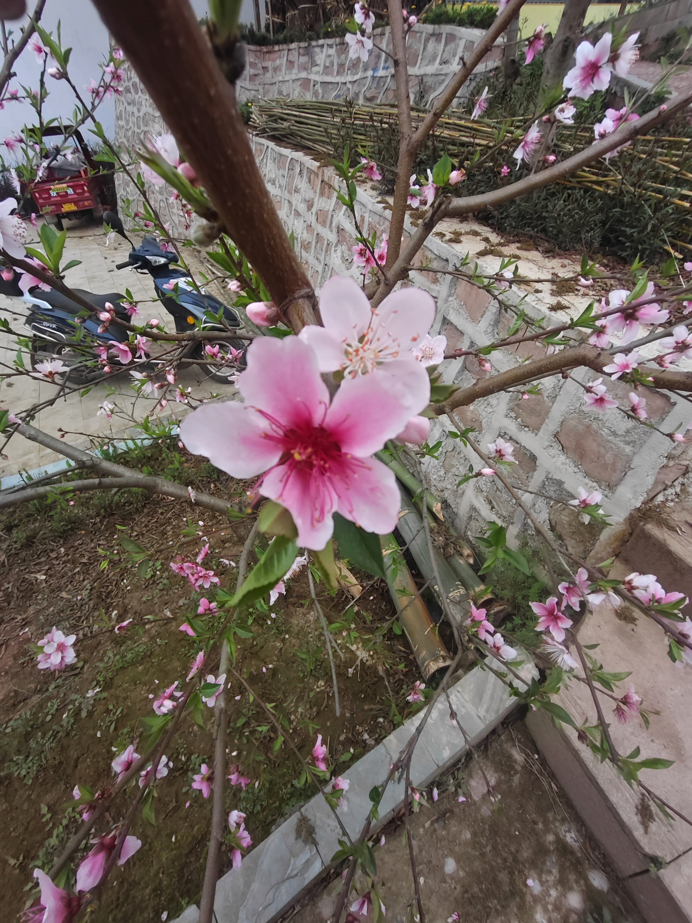 图片附件