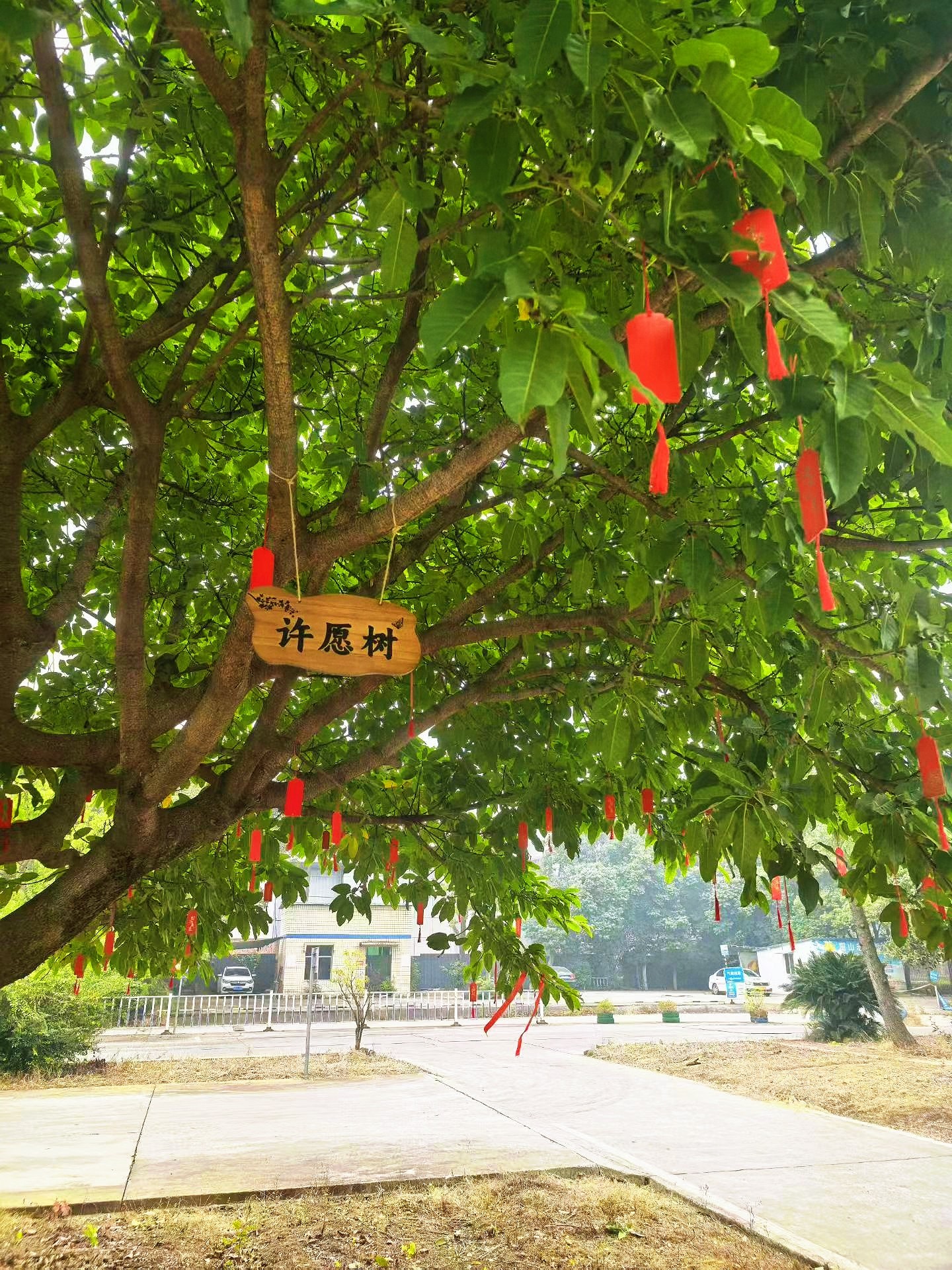 图片附件