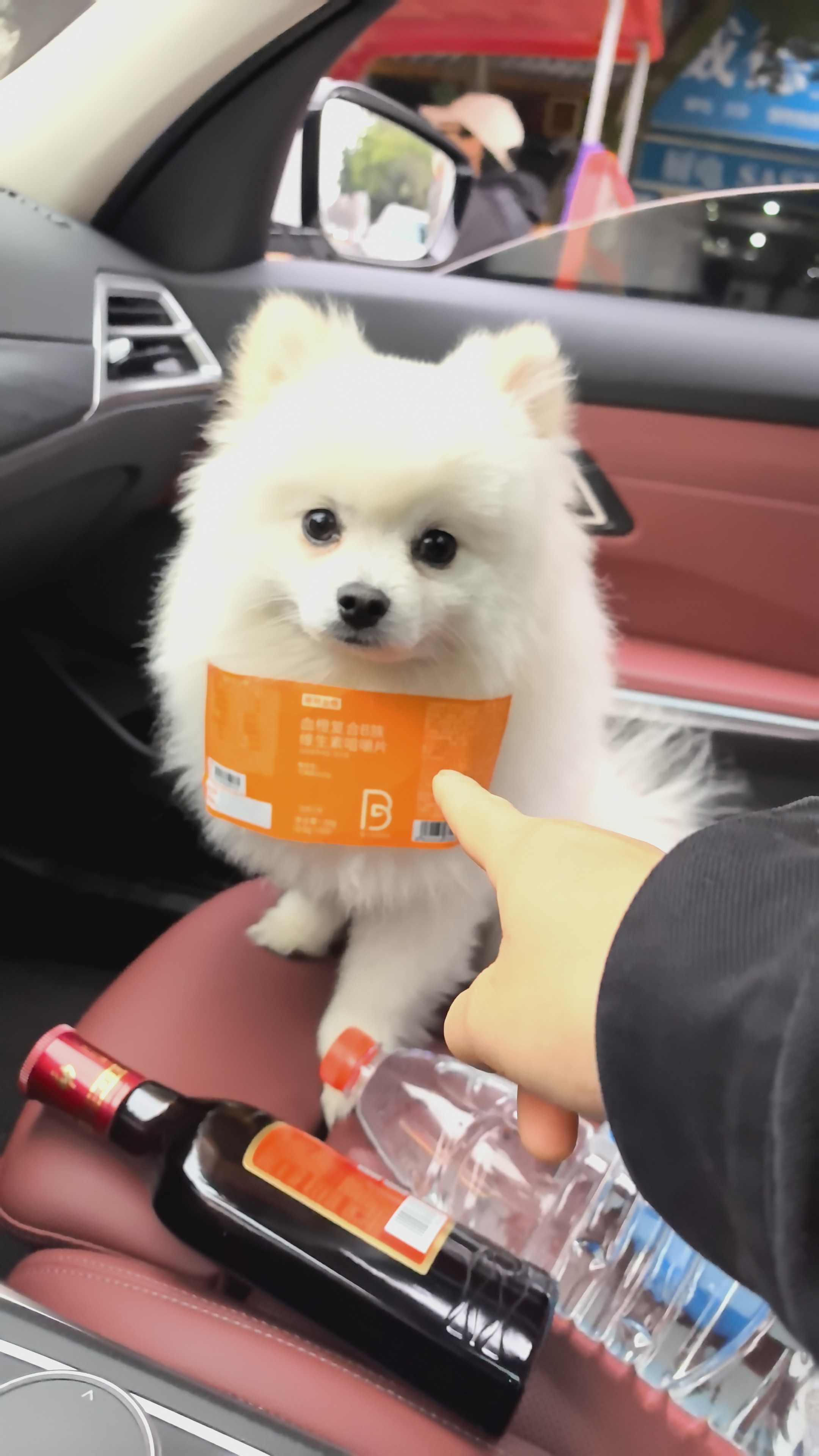 图片附件