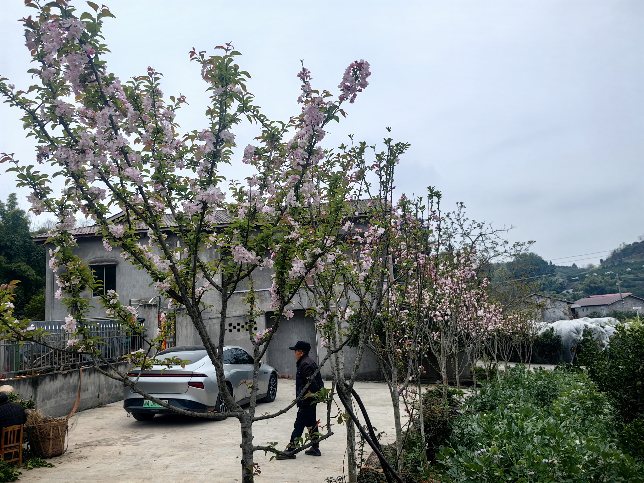 图片附件