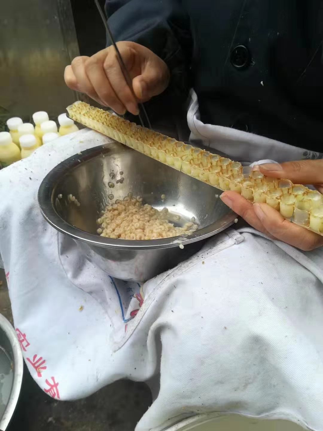图片附件