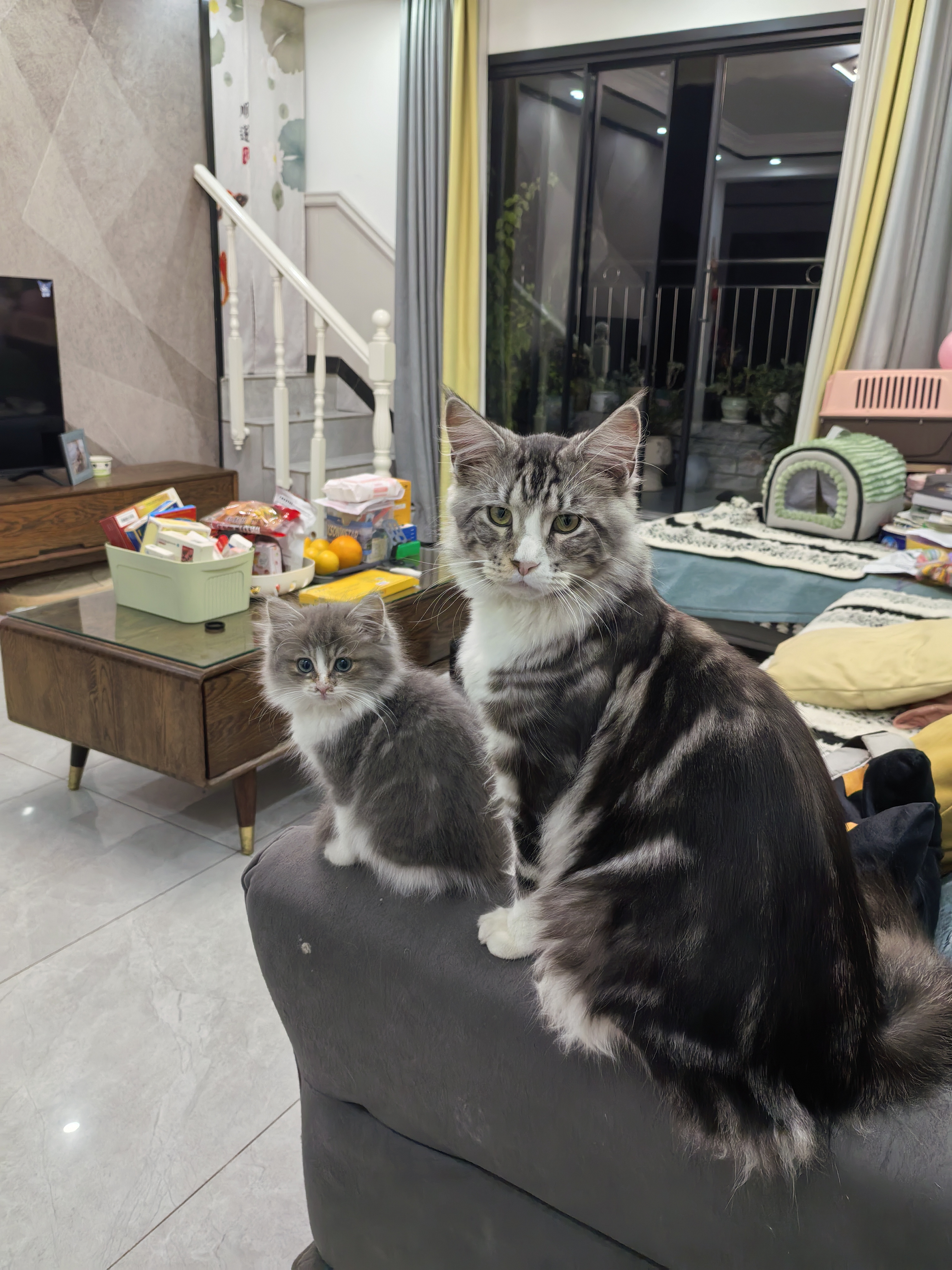 图片附件