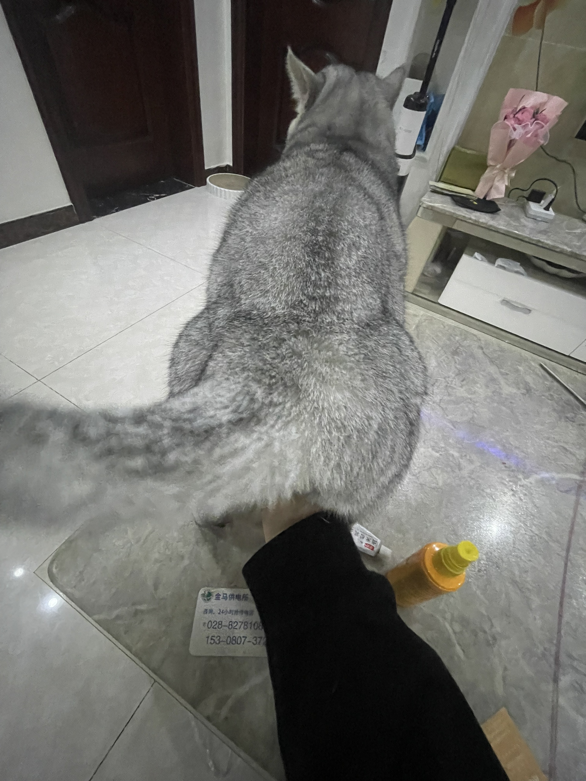 图片附件