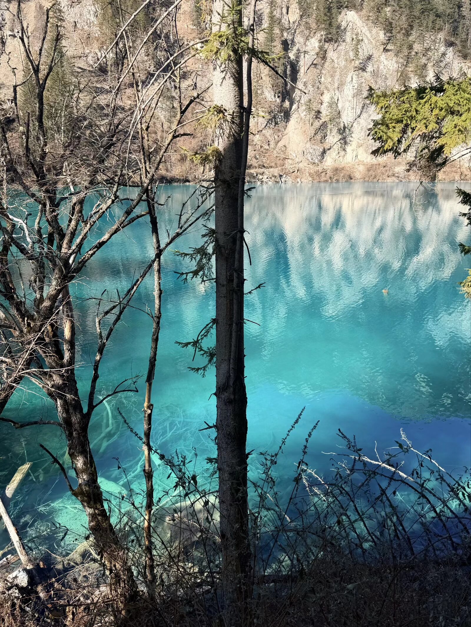 图片附件