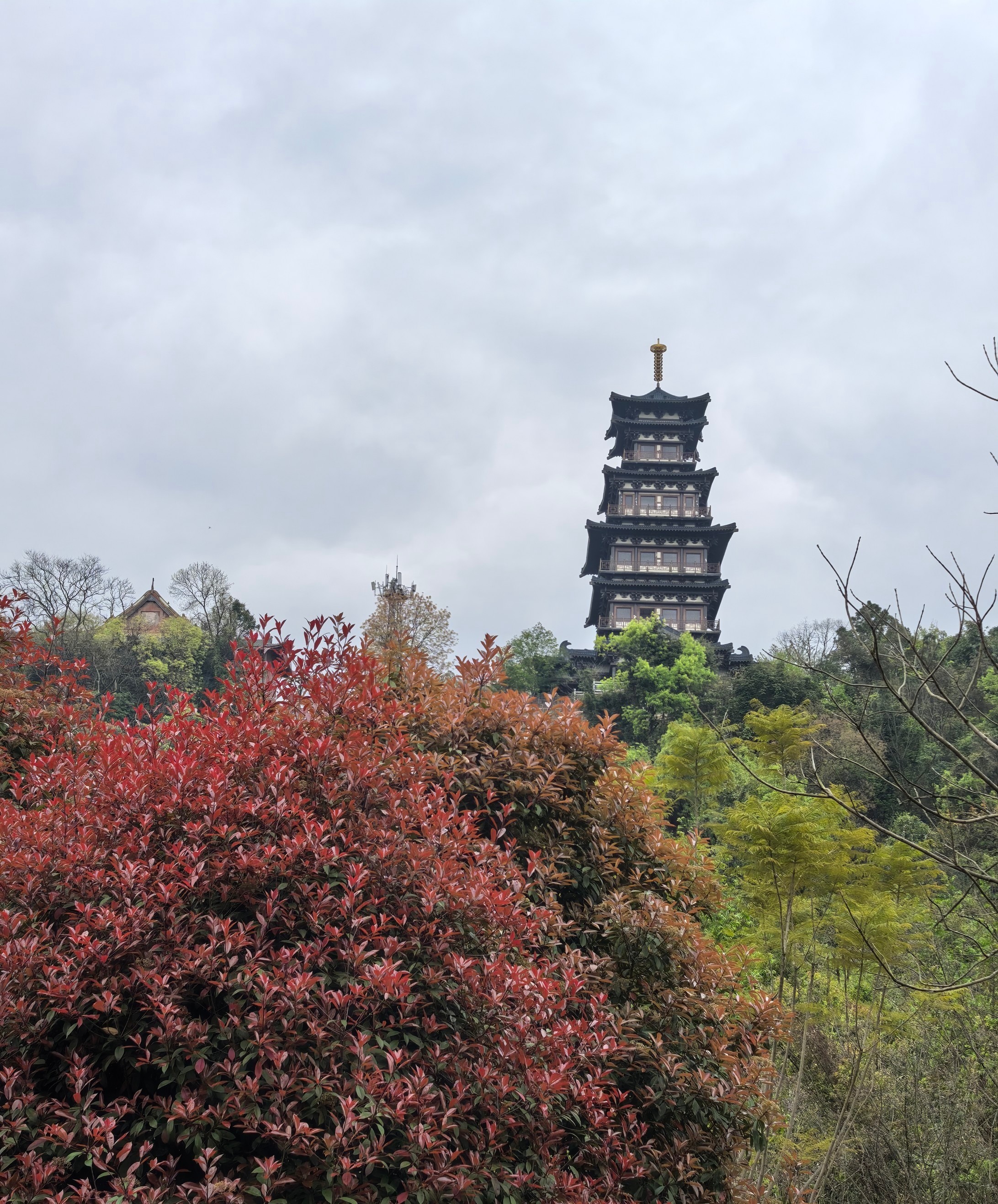 图片附件