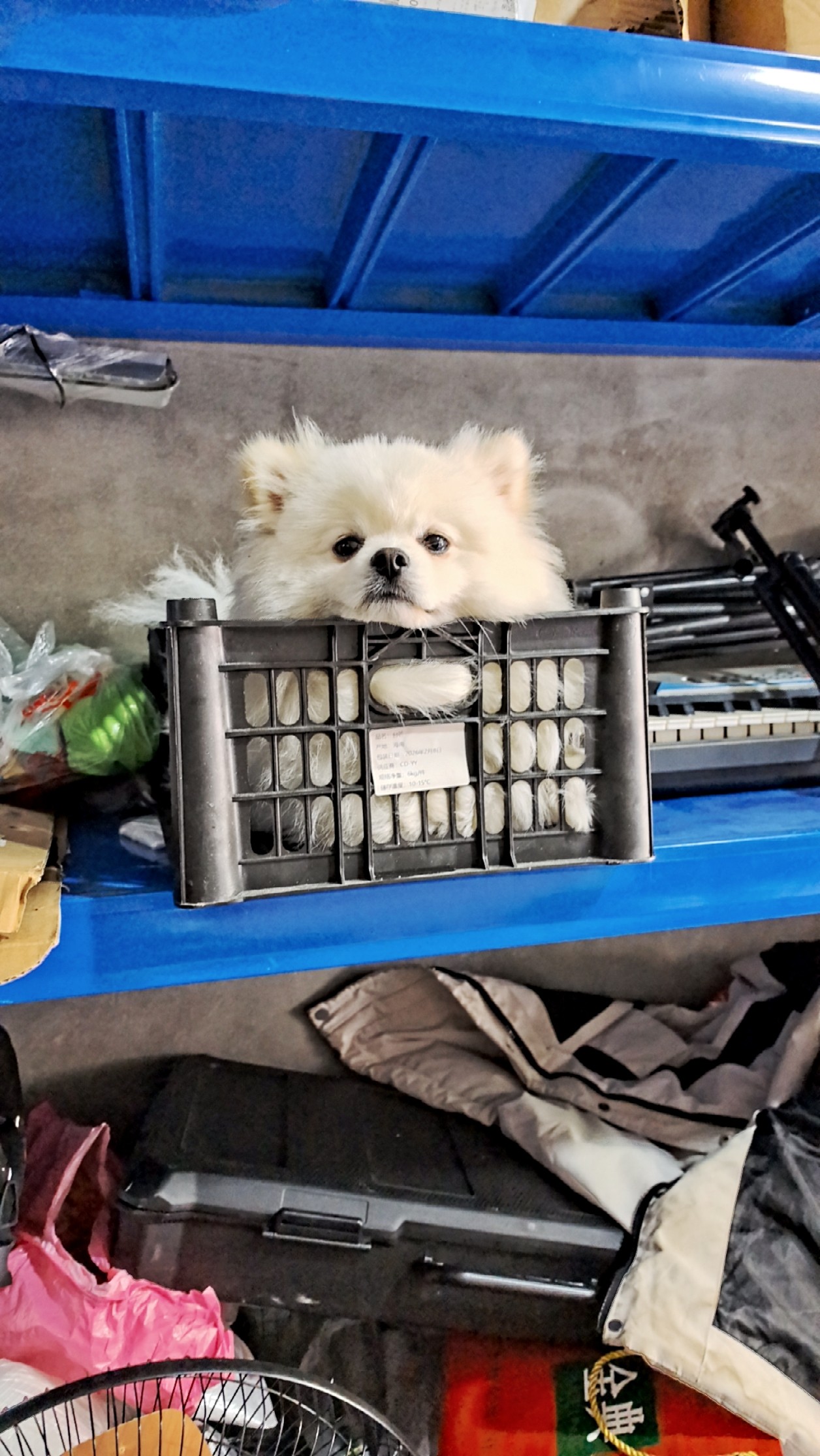 图片附件