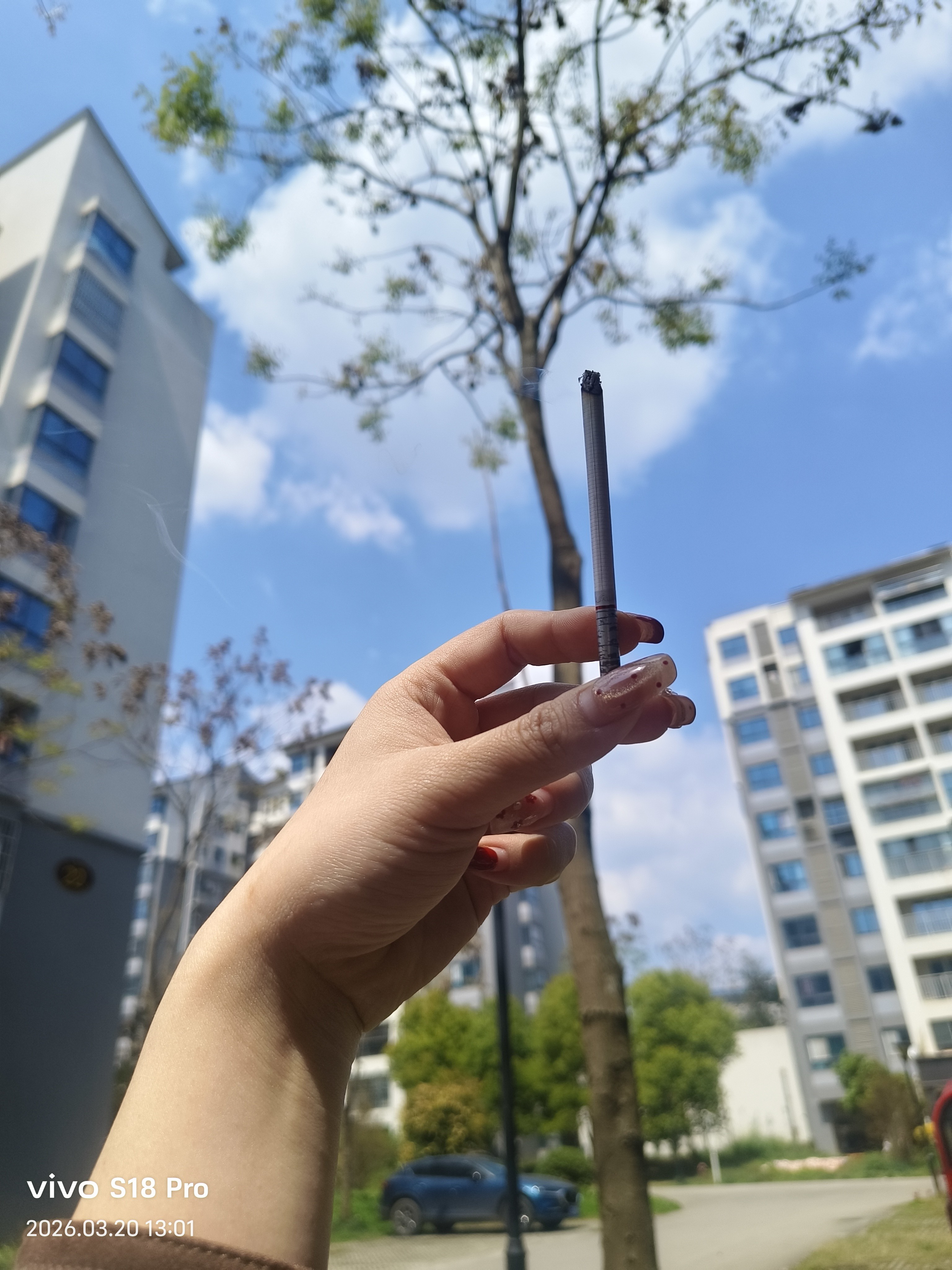 图片附件