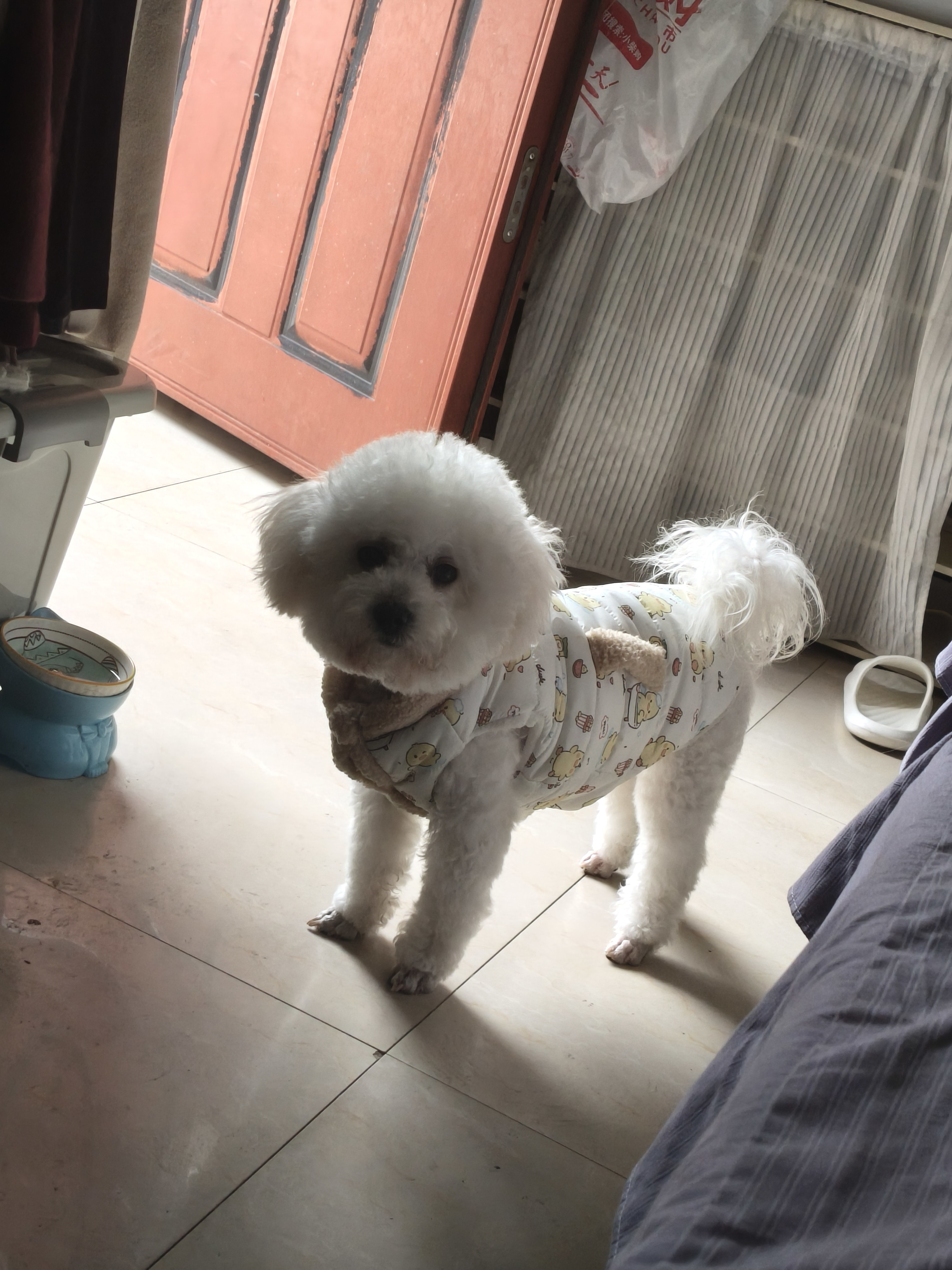 图片附件