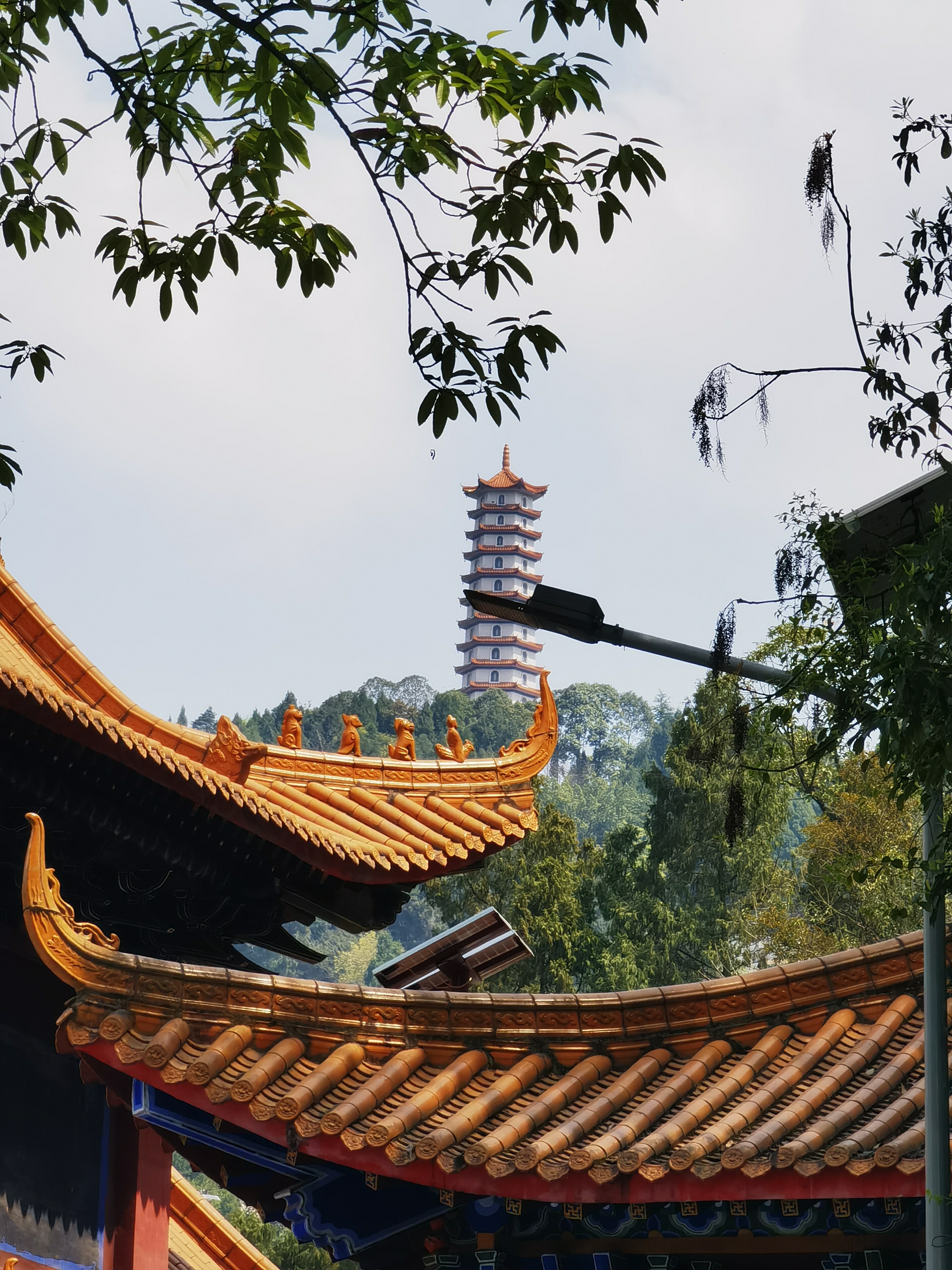 图片附件