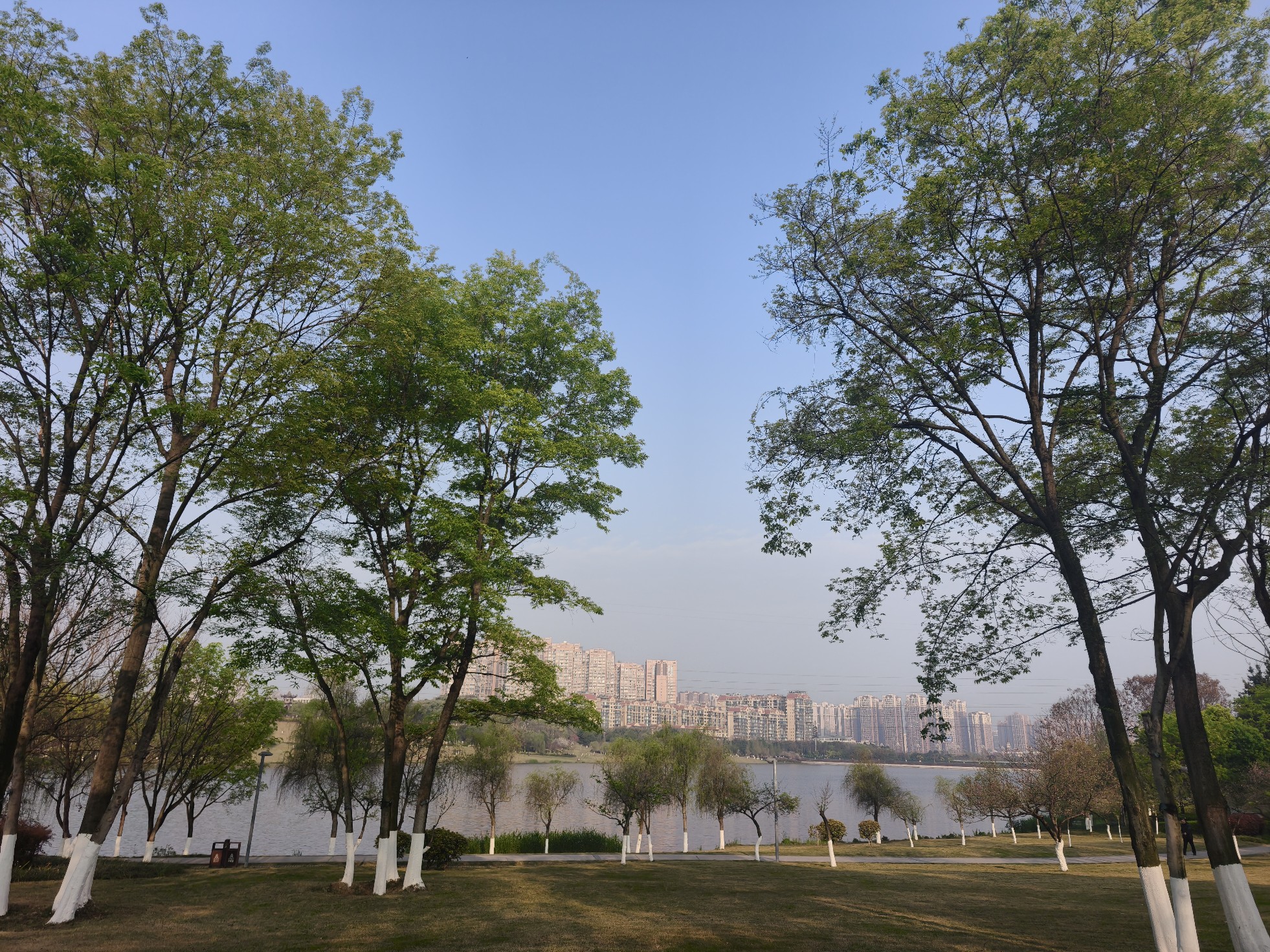 图片附件