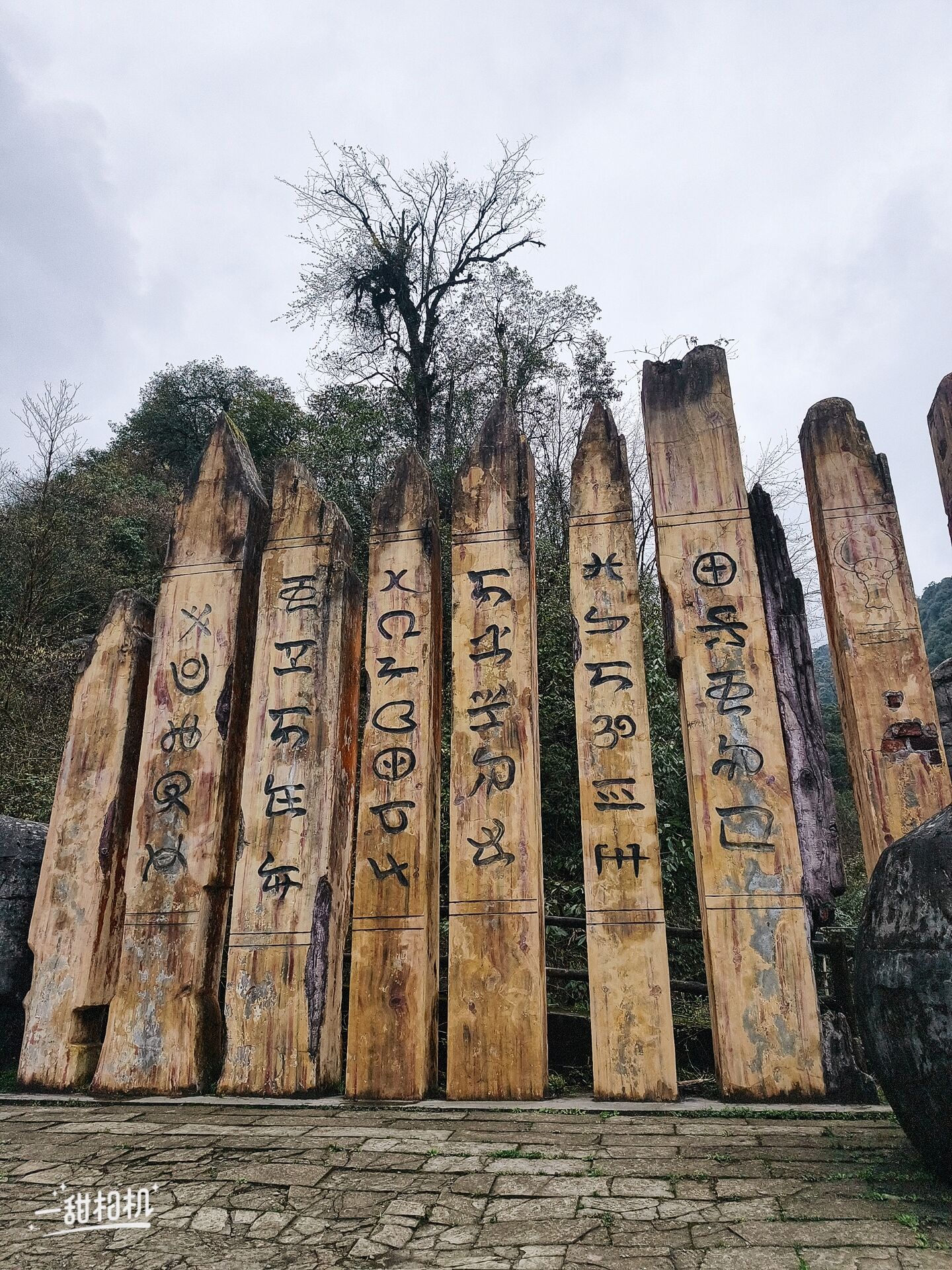 图片附件