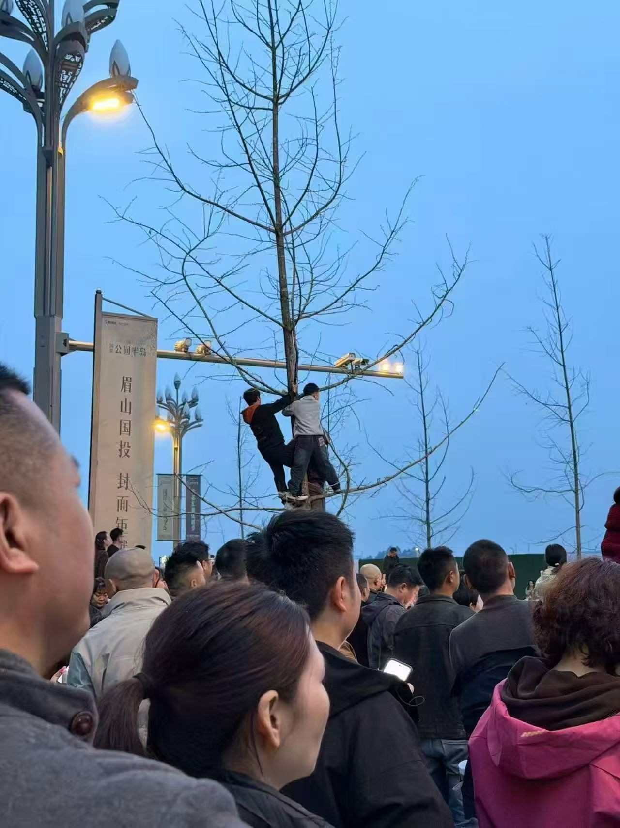 图片附件