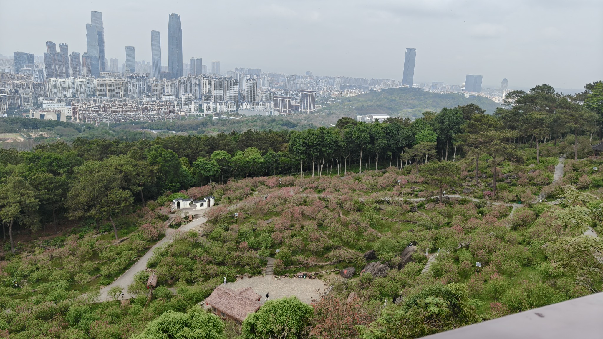图片附件