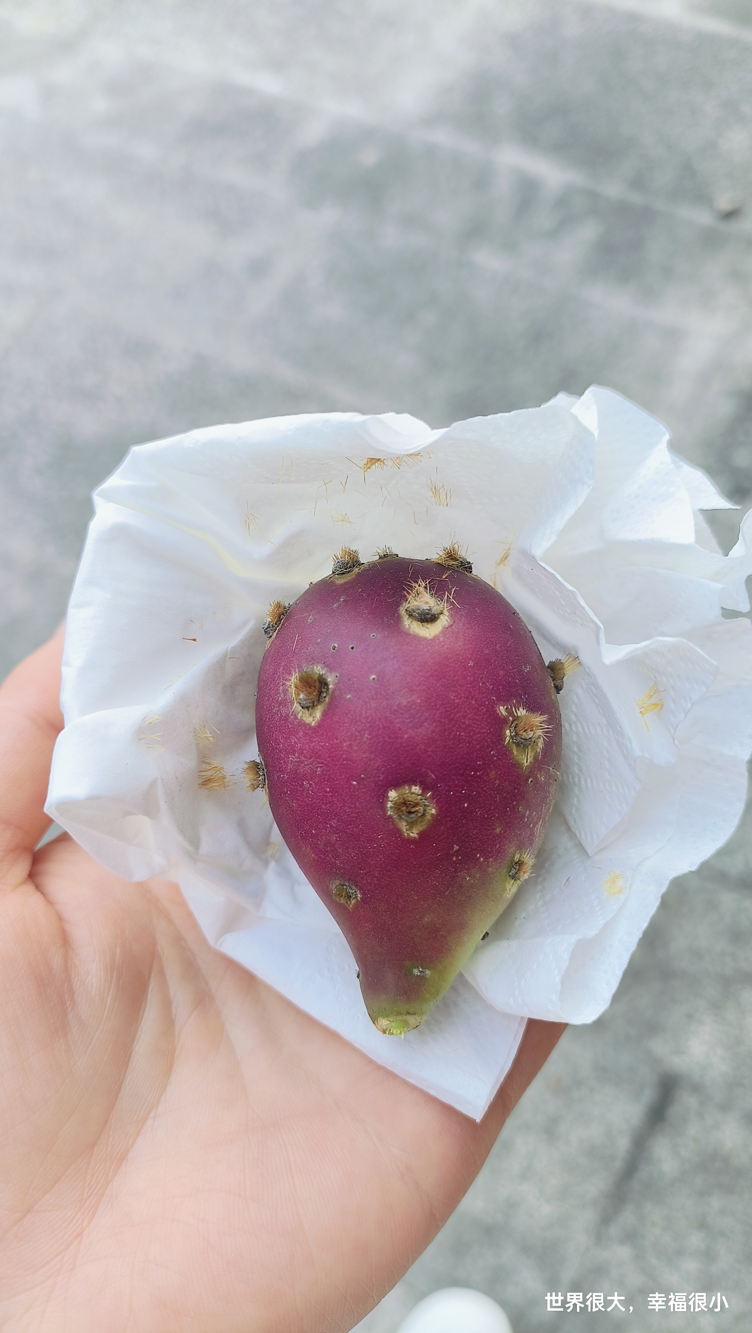 图片附件