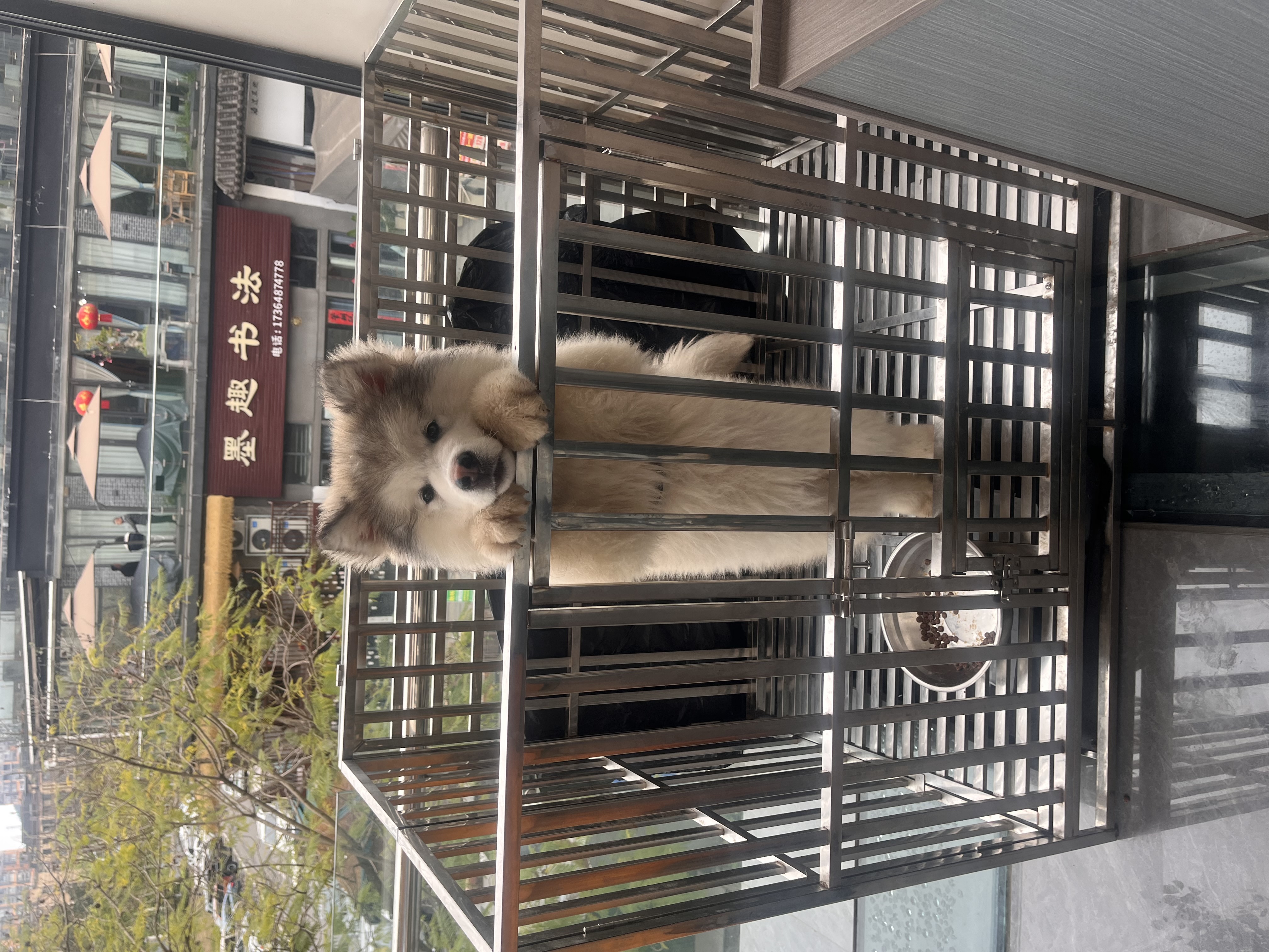 图片附件