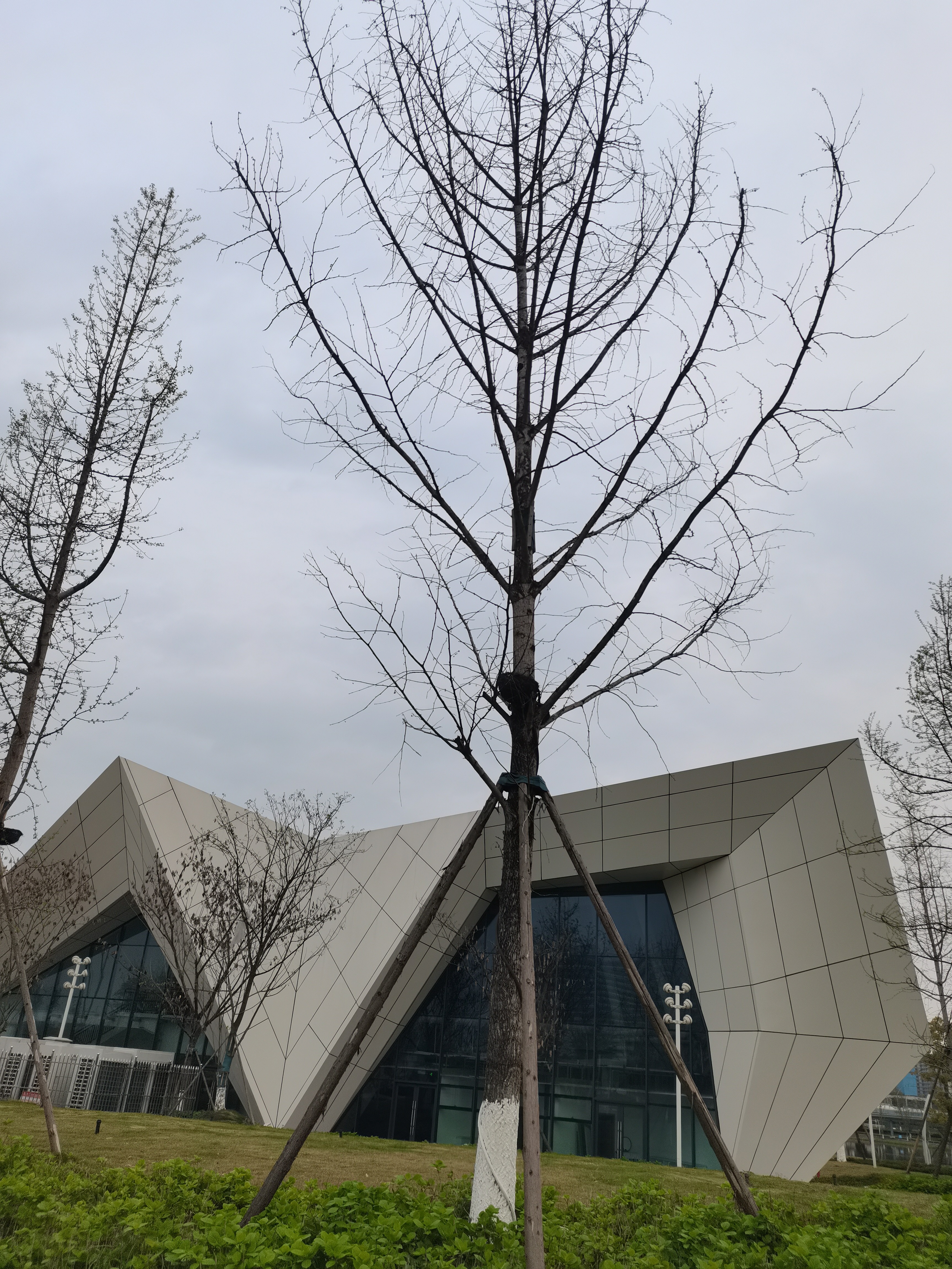 图片附件