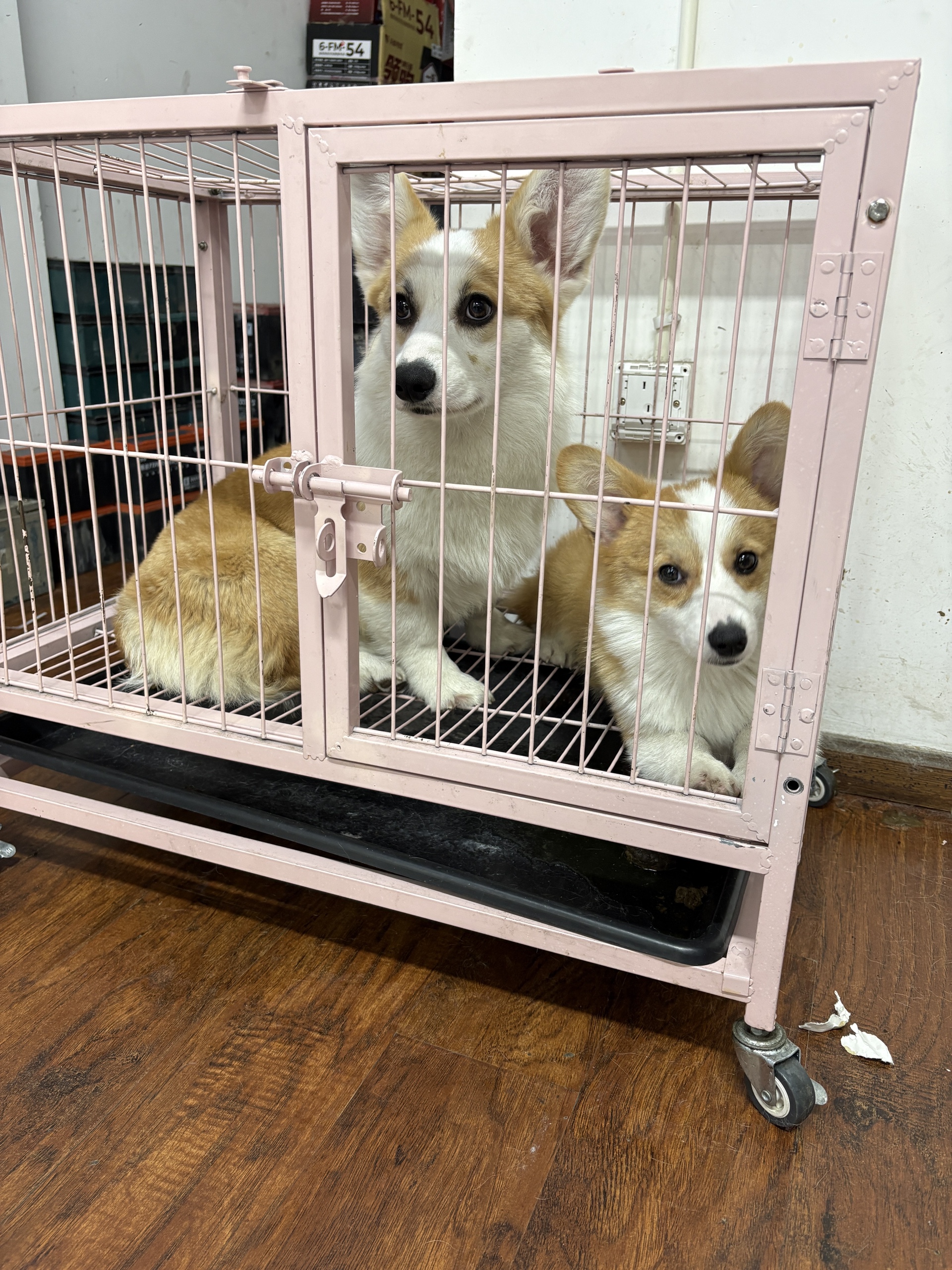 图片附件