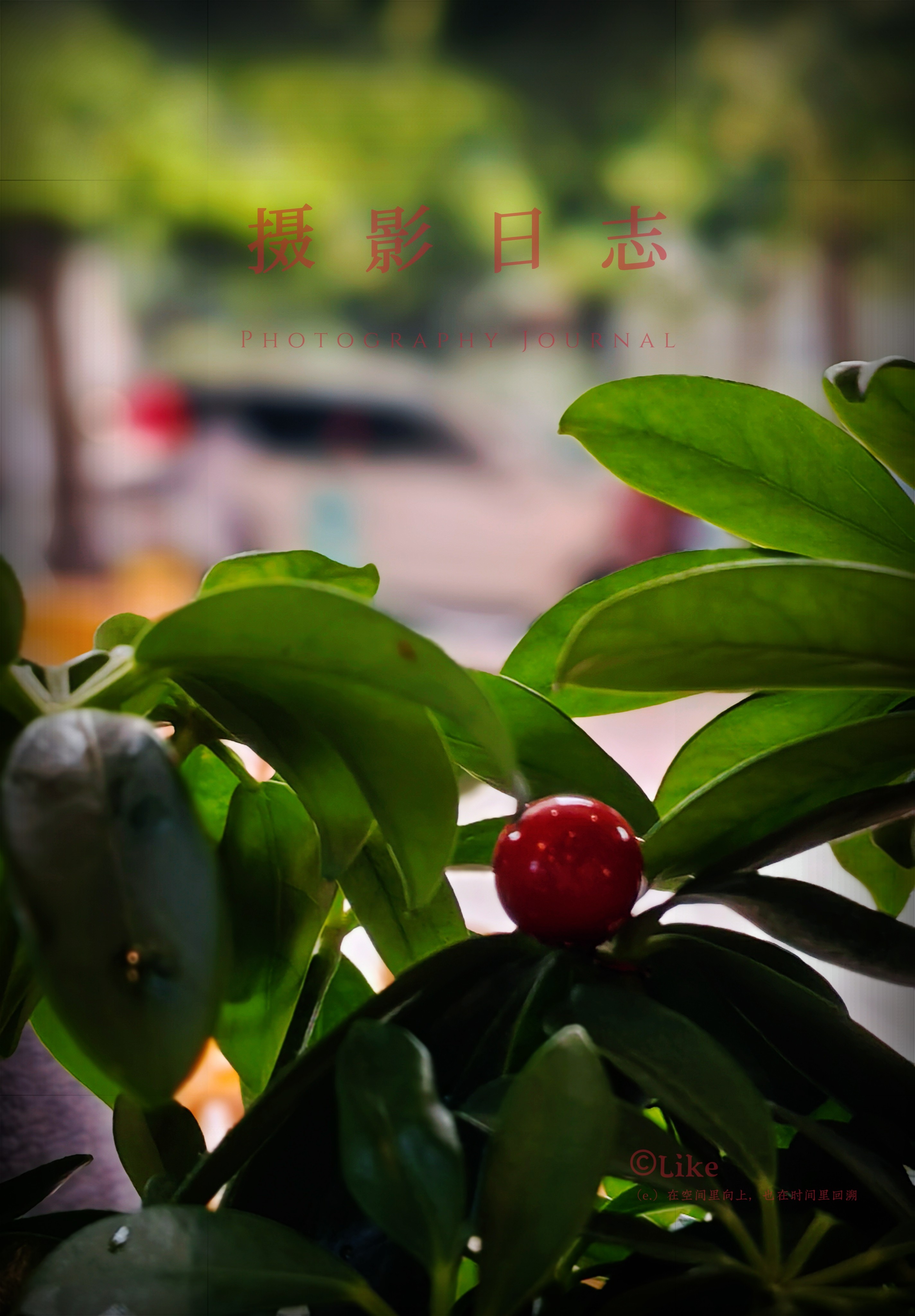 图片附件