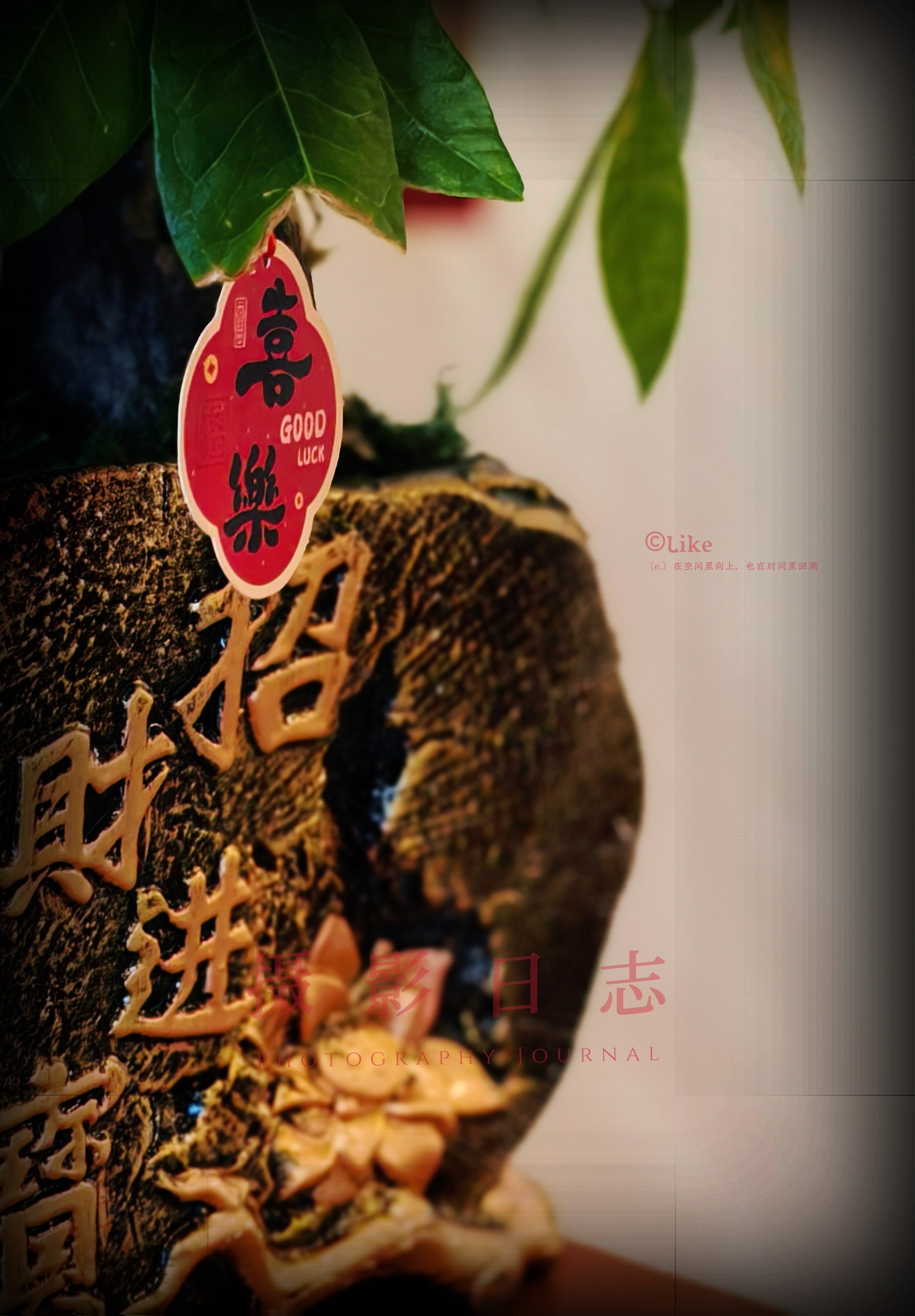 图片附件