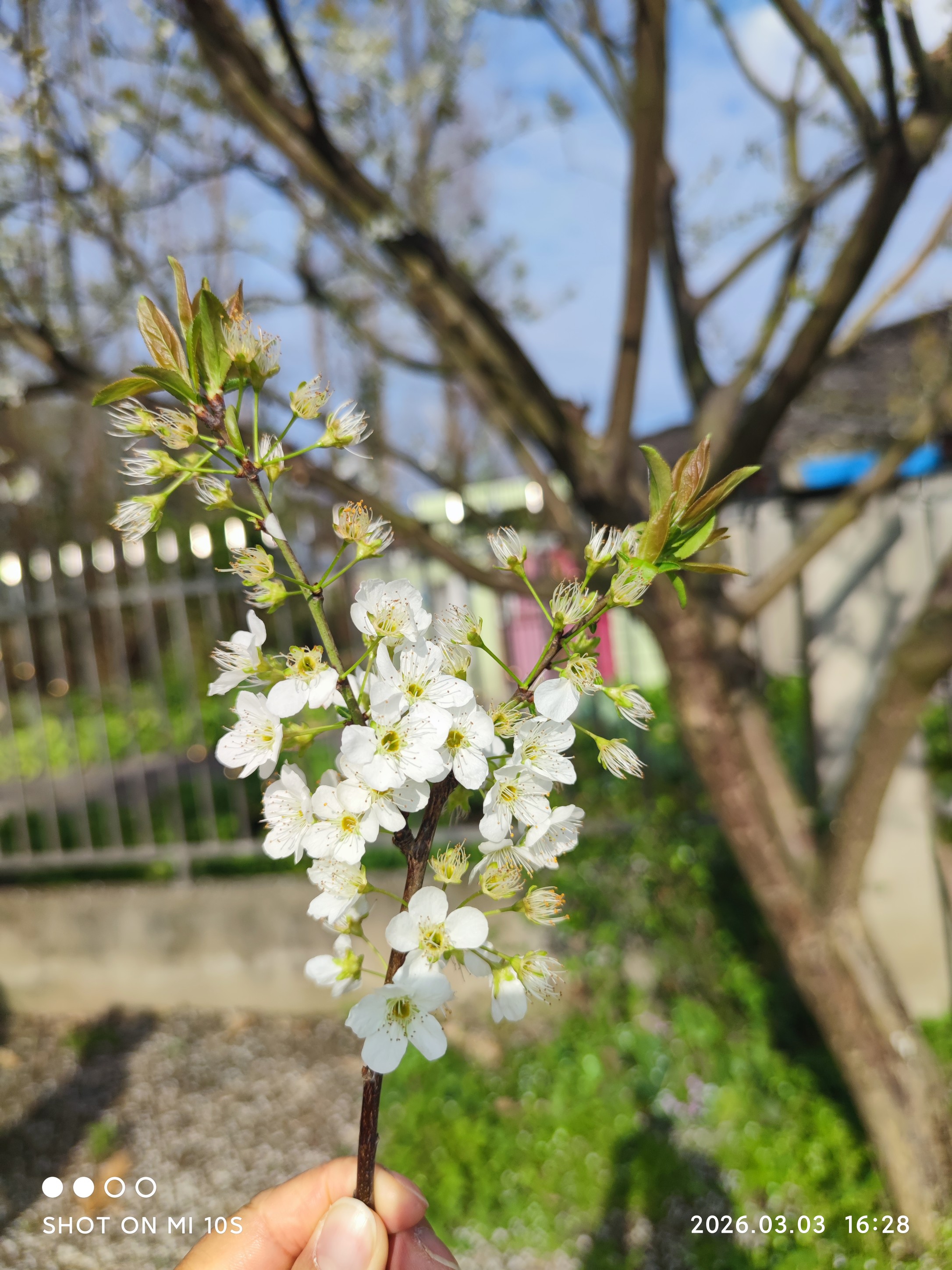 图片附件