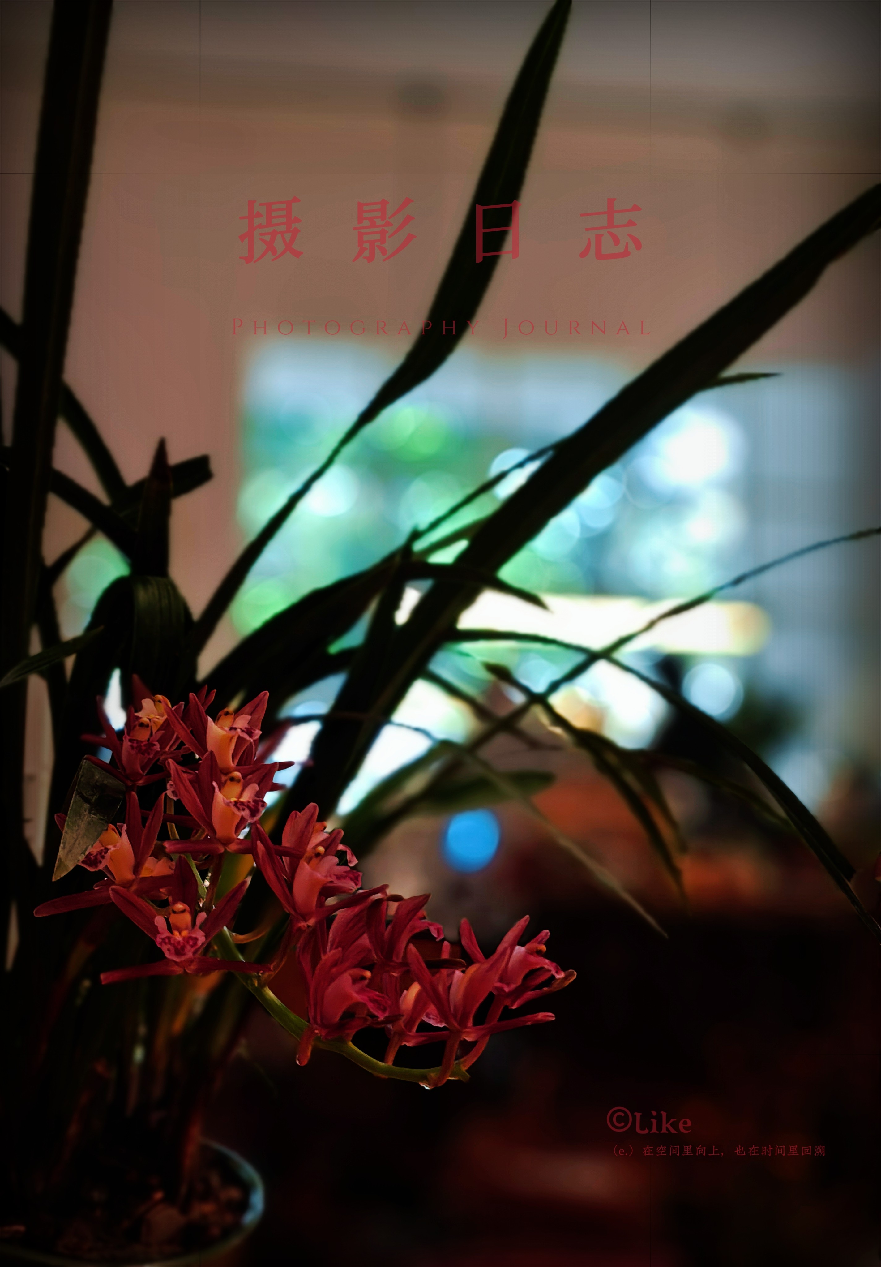 图片附件