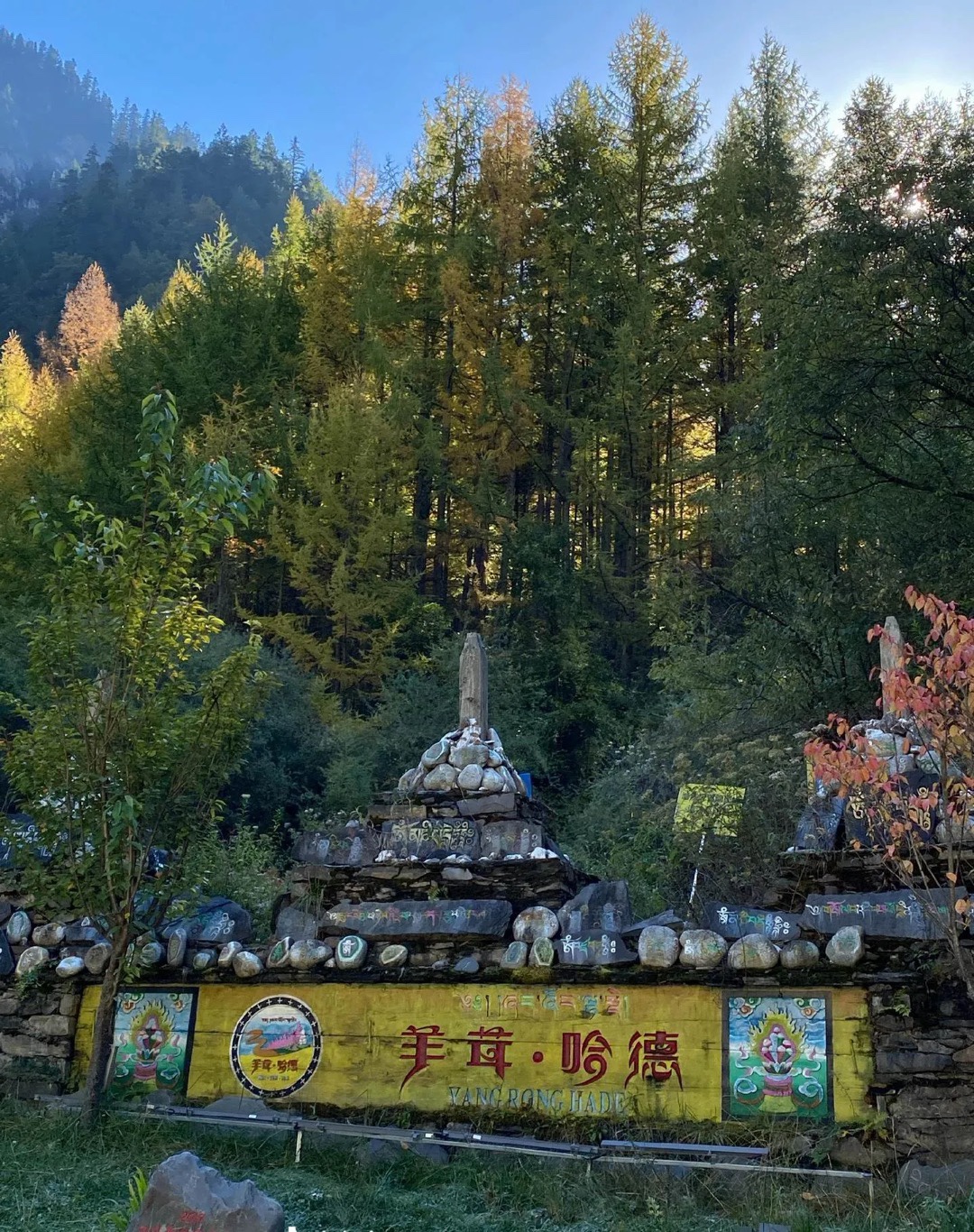 图片附件