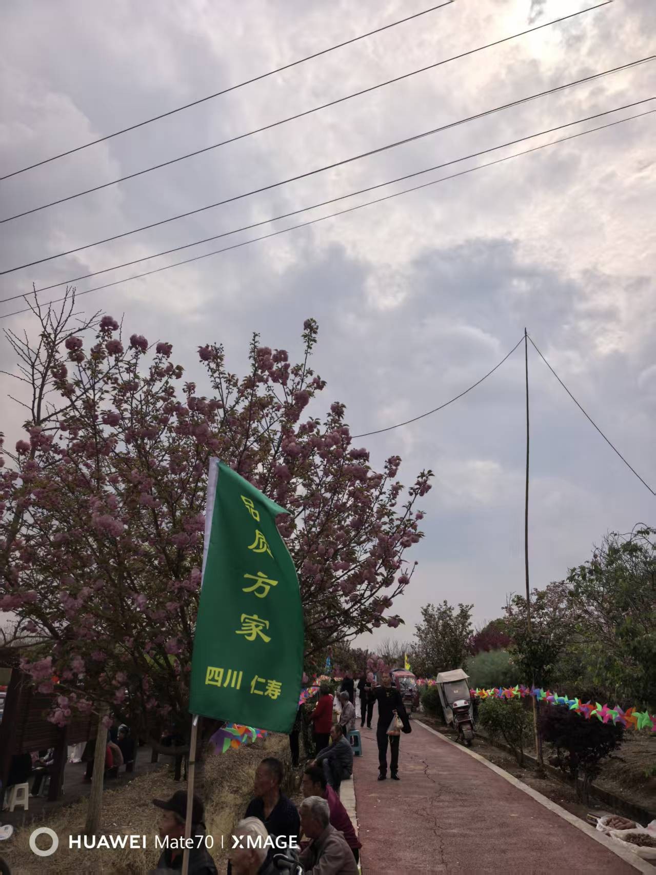 图片附件