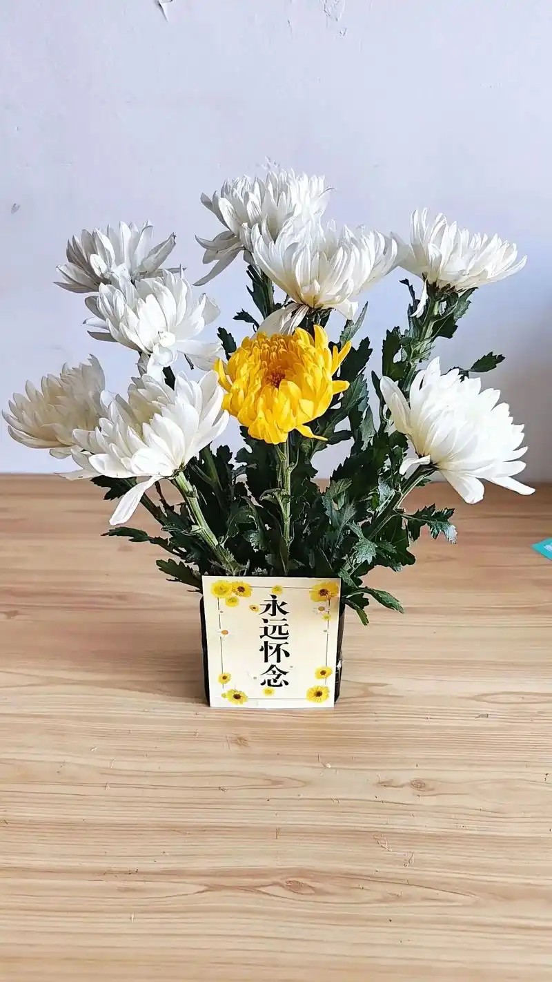 图片附件