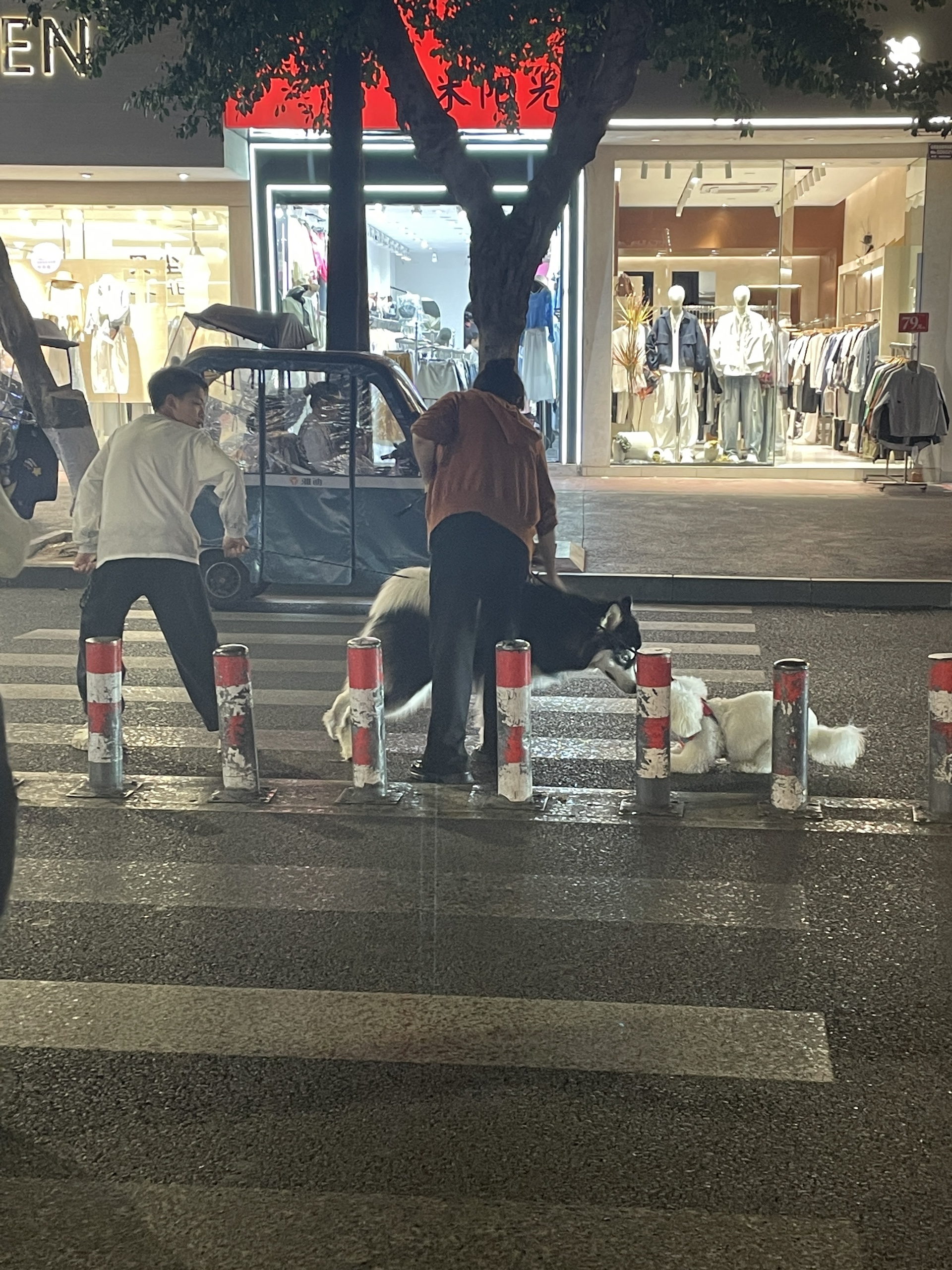 图片附件