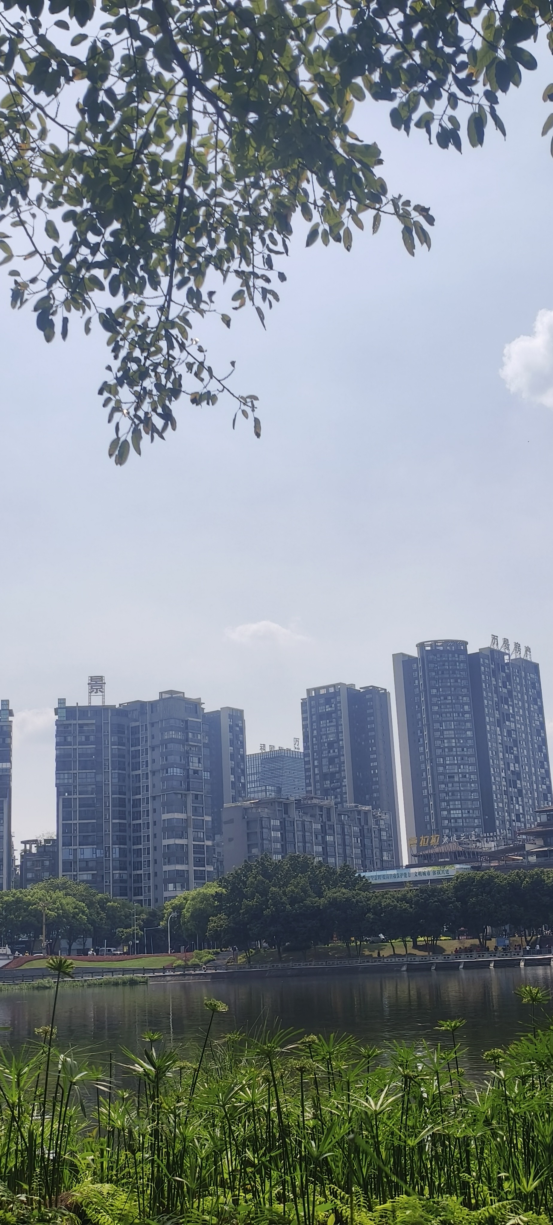 图片附件