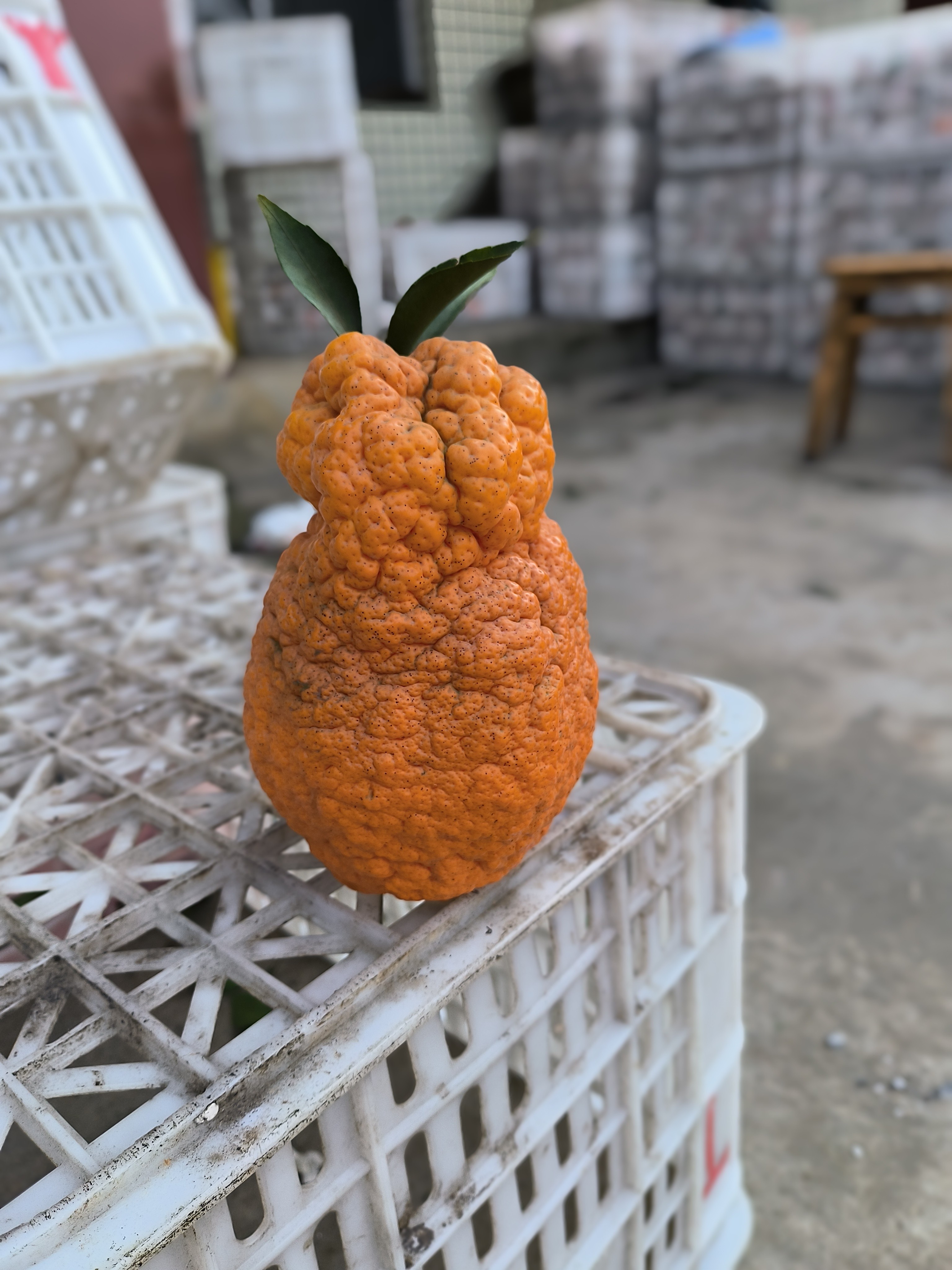 图片附件