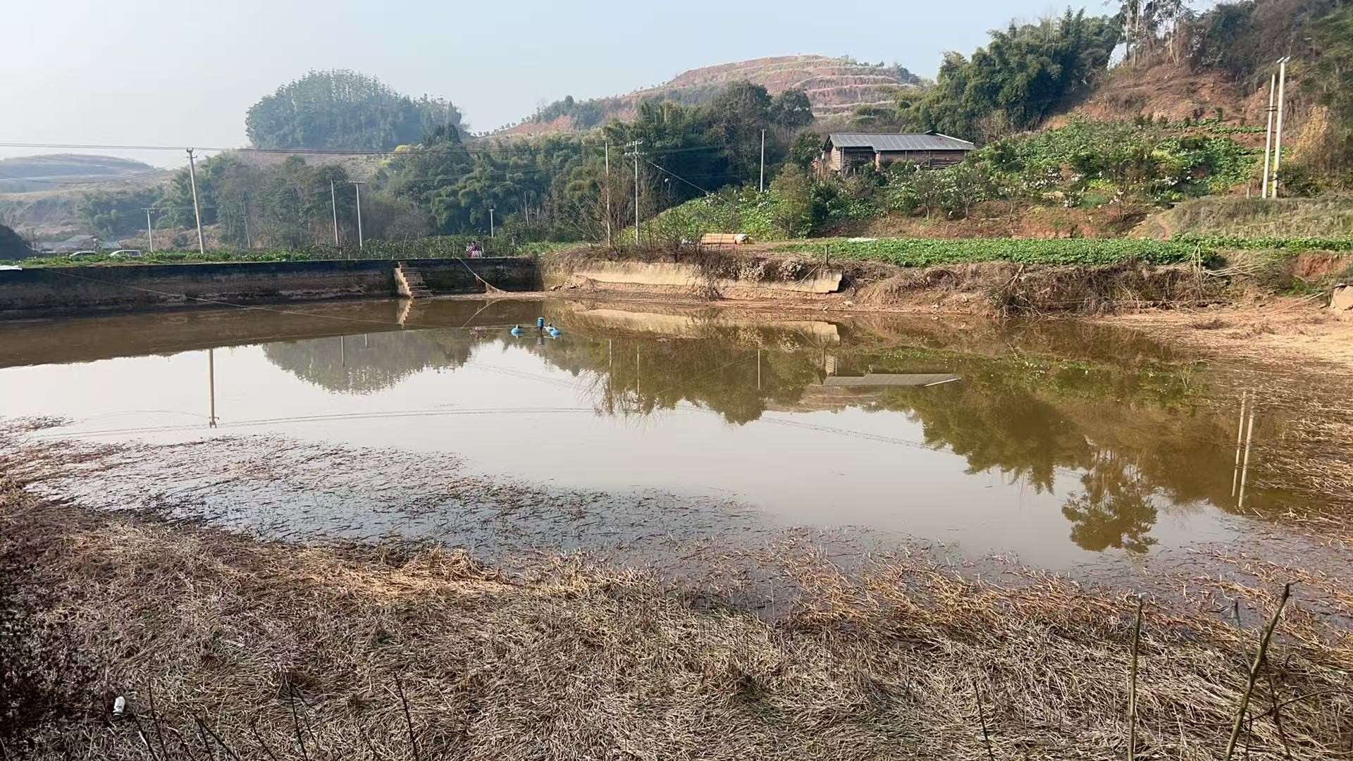 图片附件