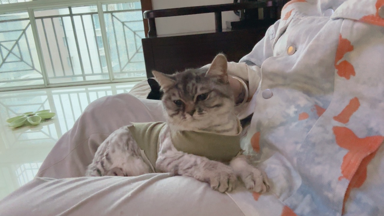 图片附件