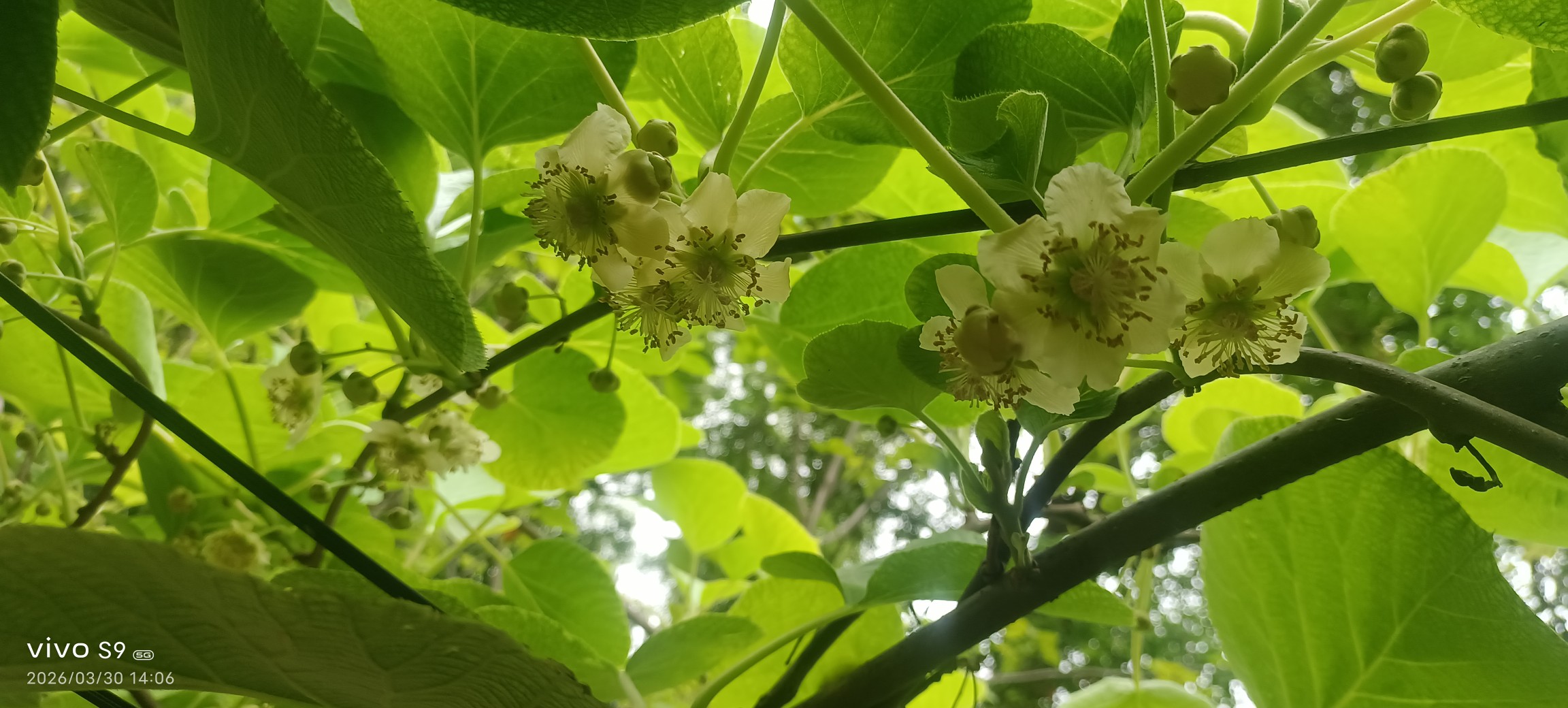 图片附件