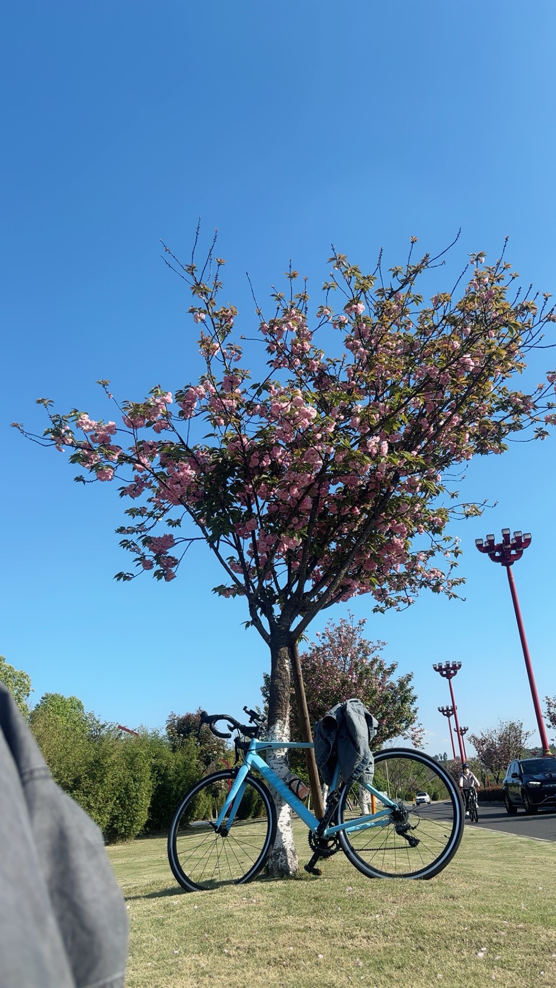 图片附件