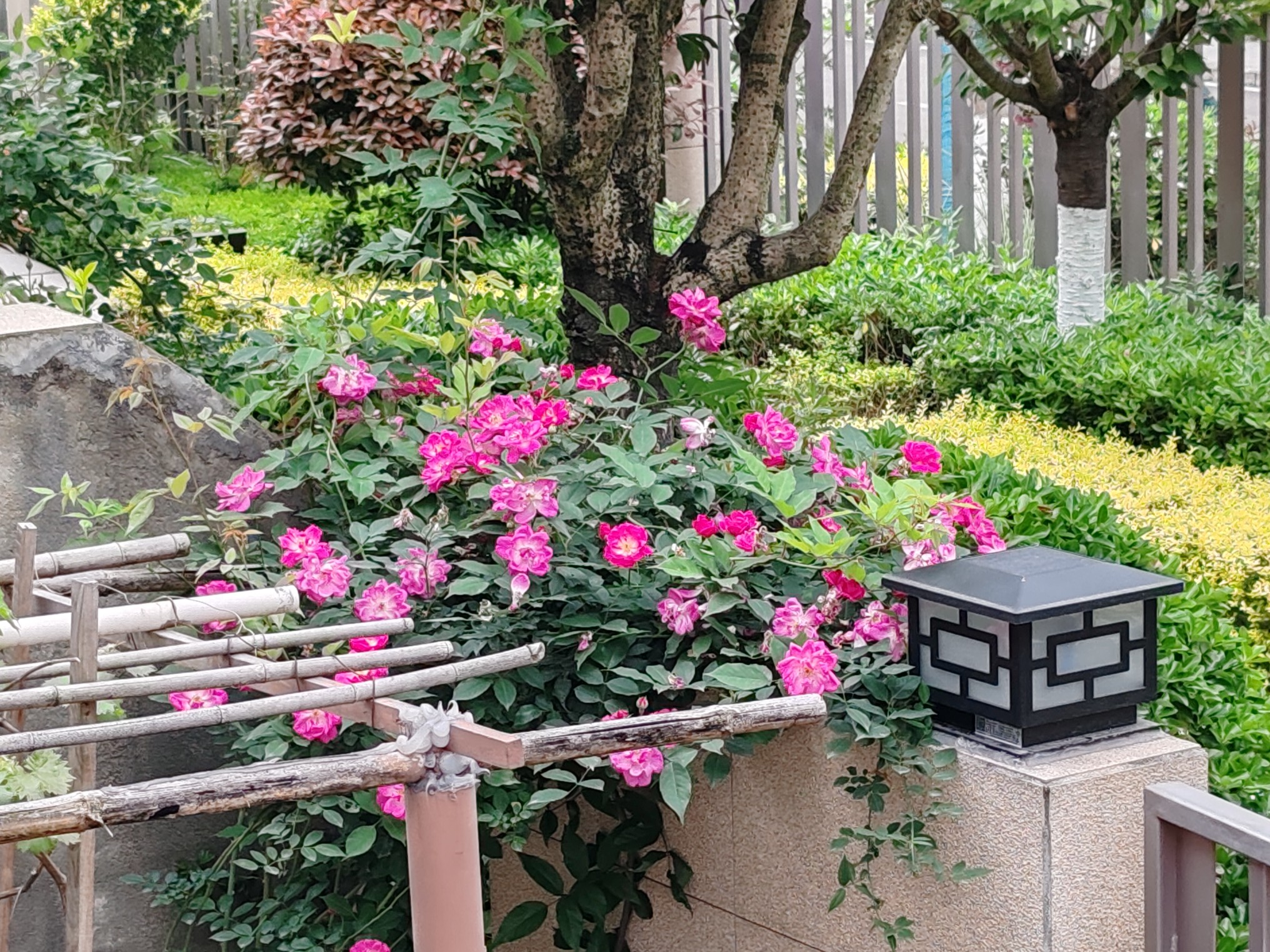 图片附件