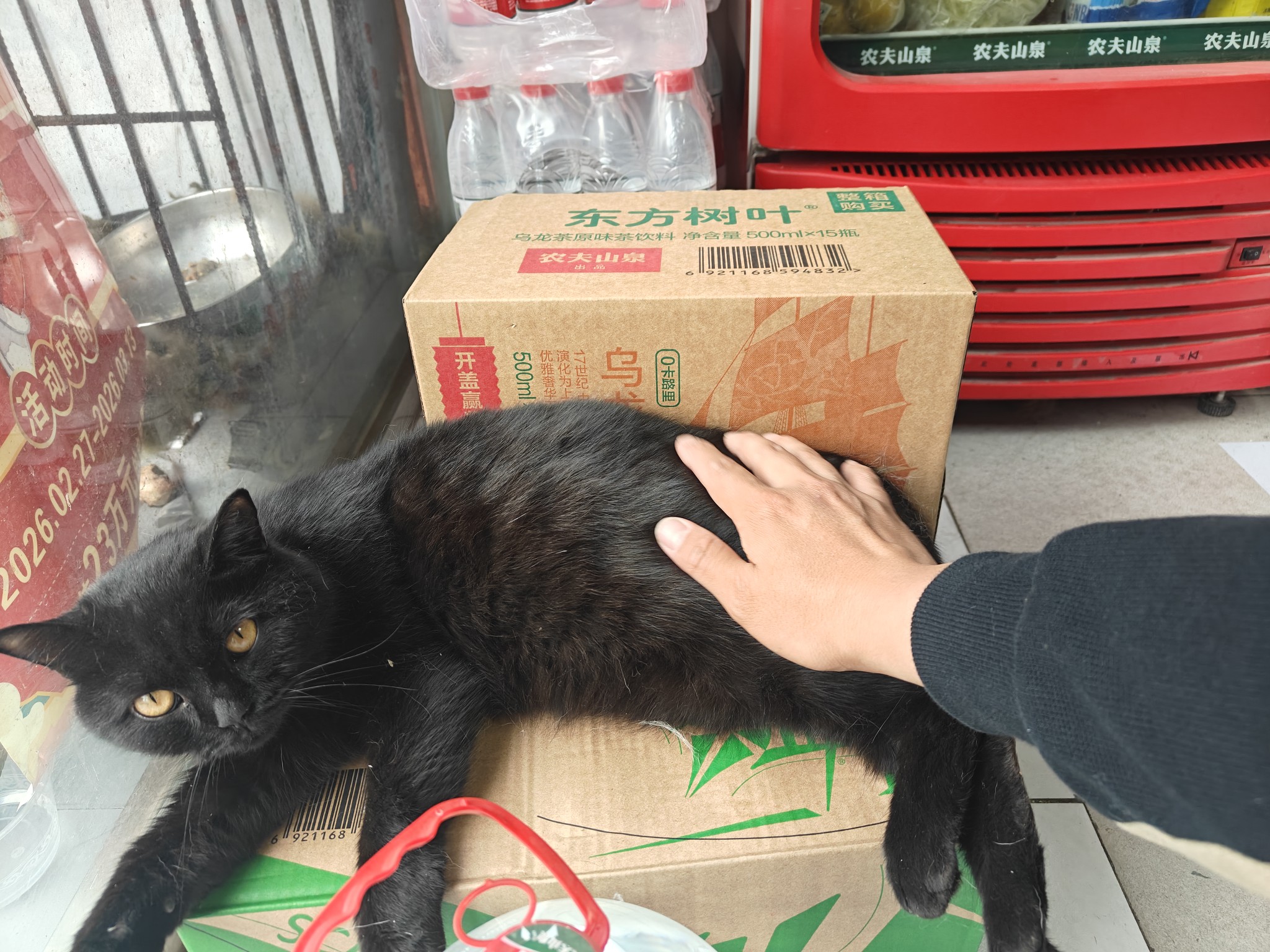 图片附件