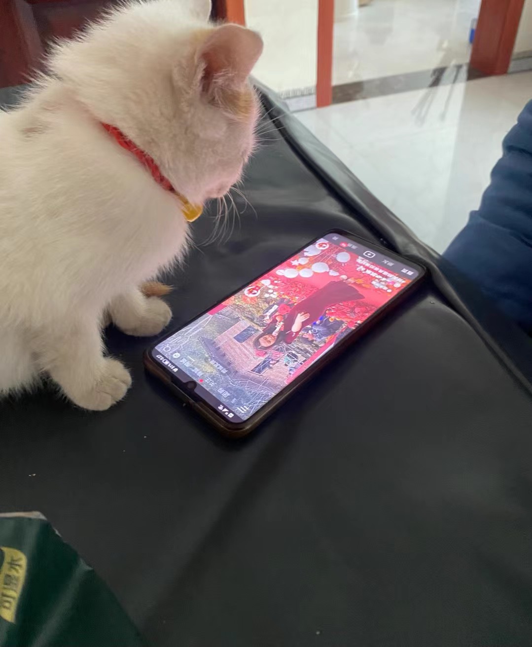 图片附件
