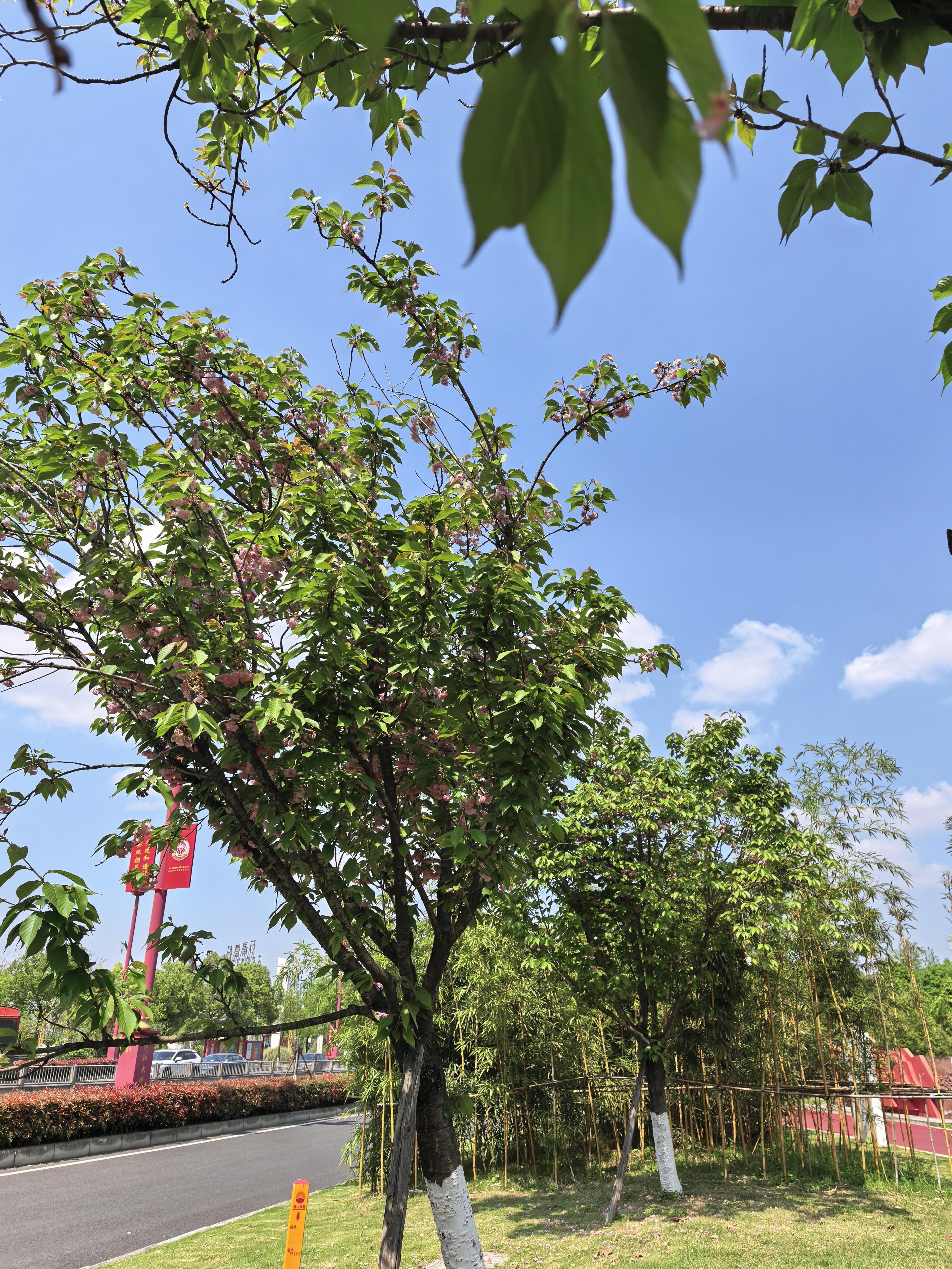 图片附件