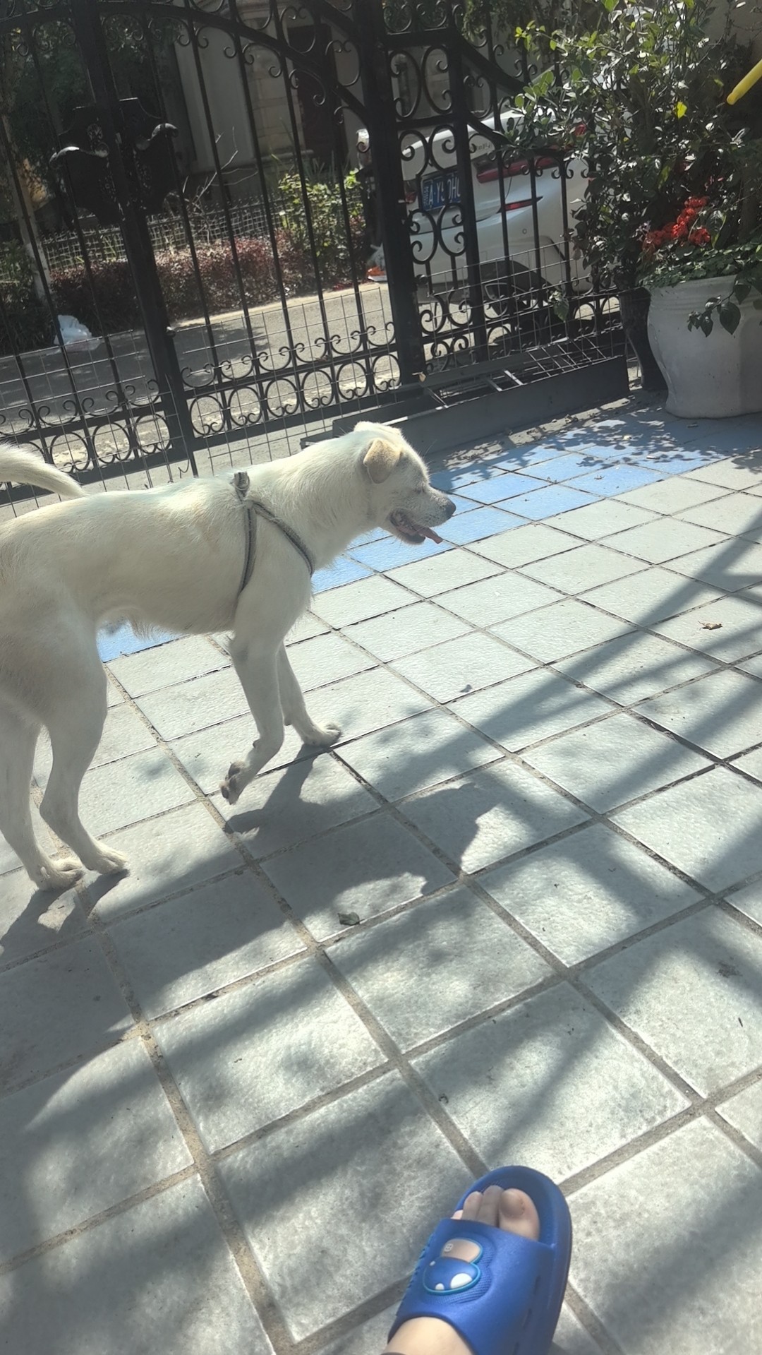 图片附件