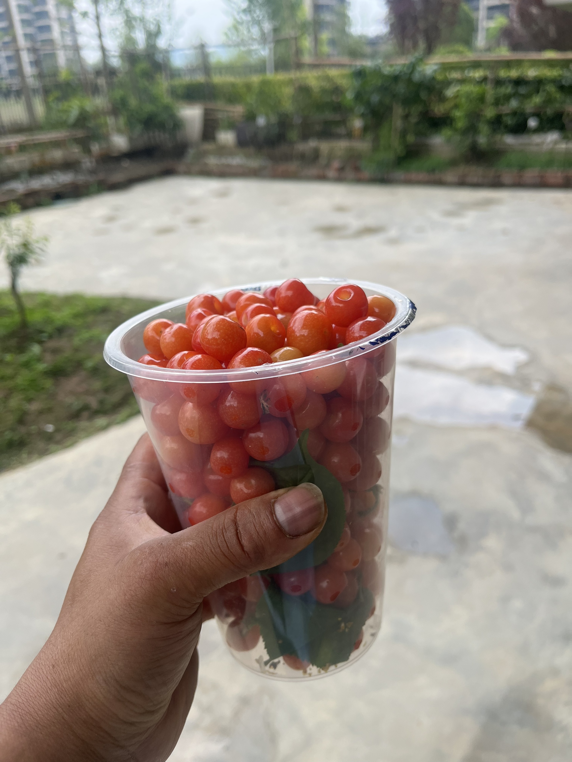 图片附件