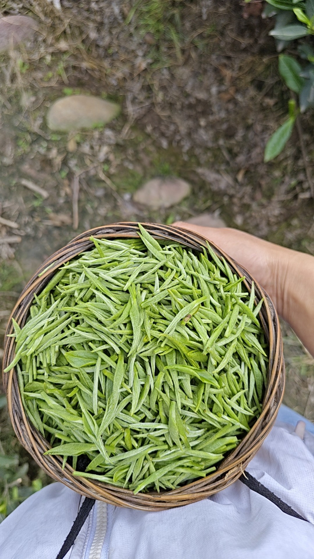 图片附件