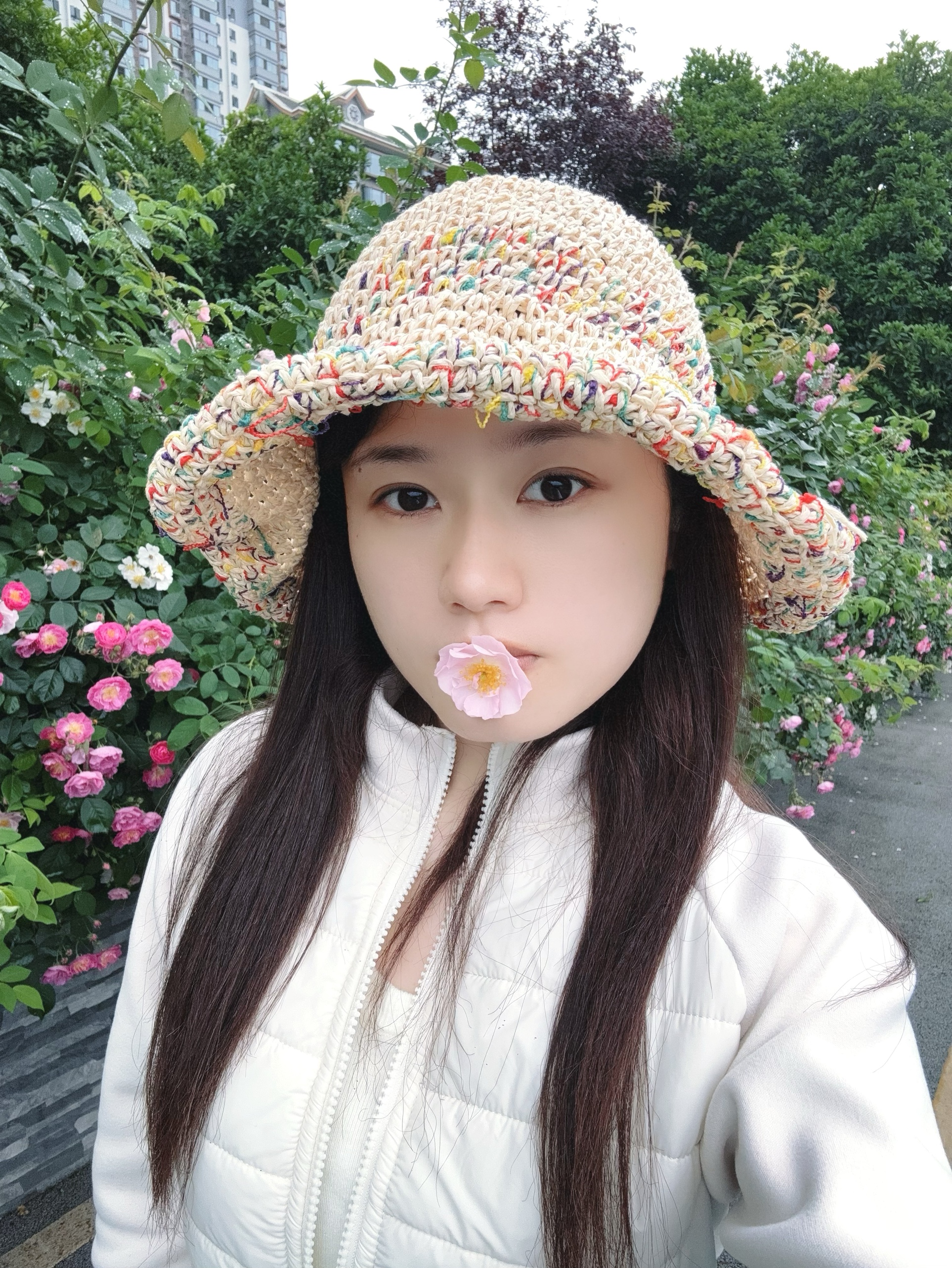图片附件