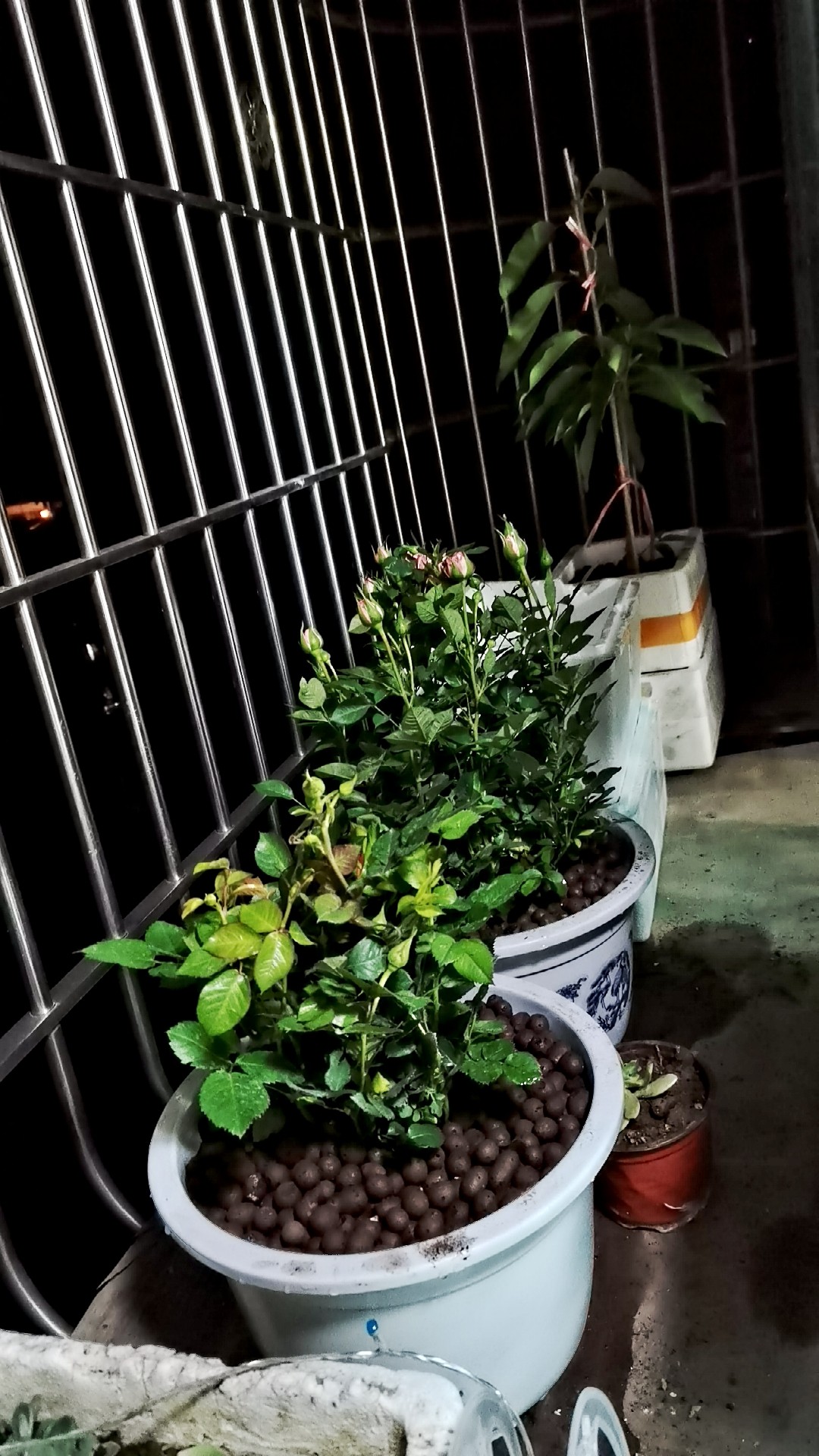 图片附件