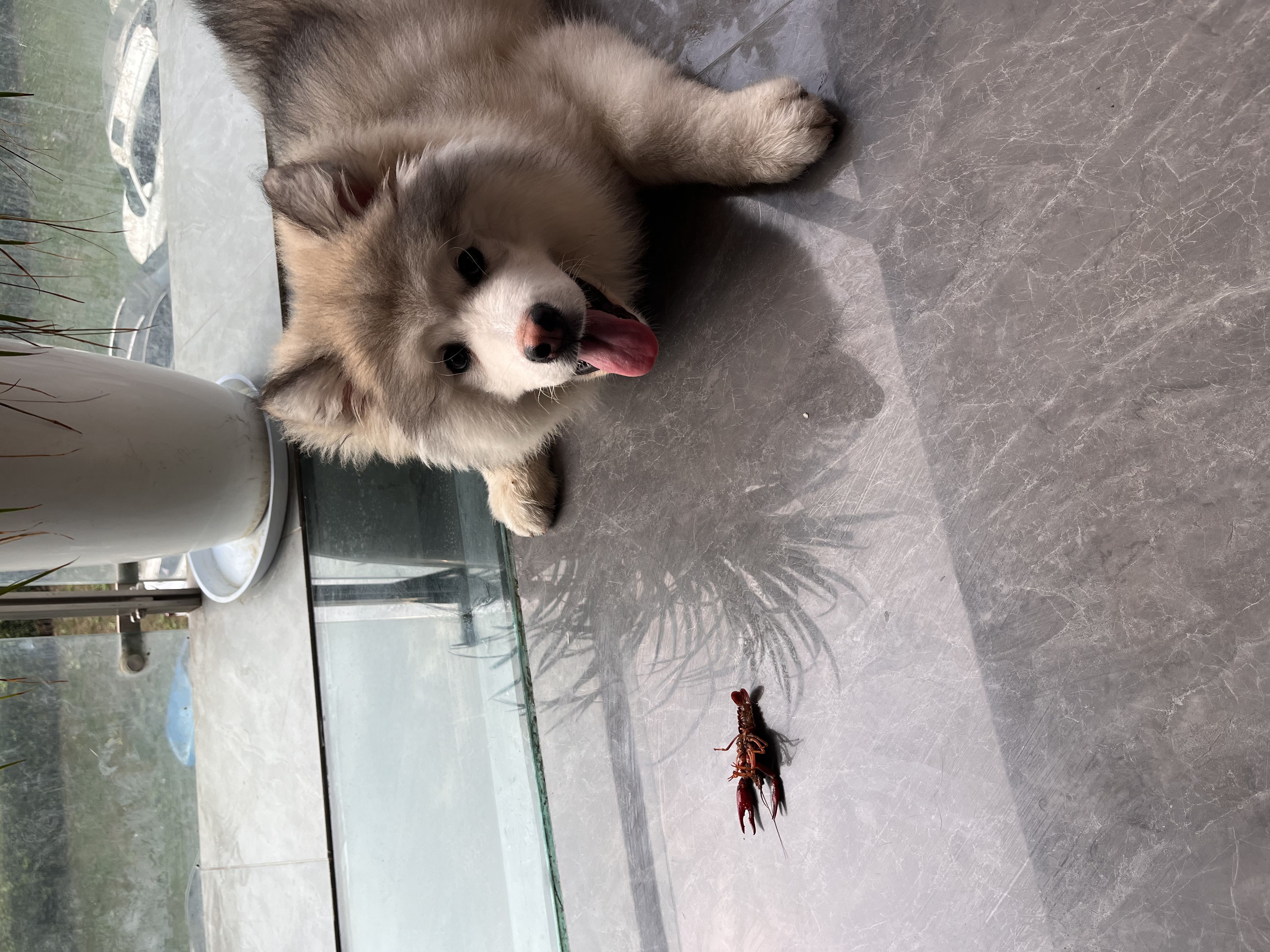 图片附件