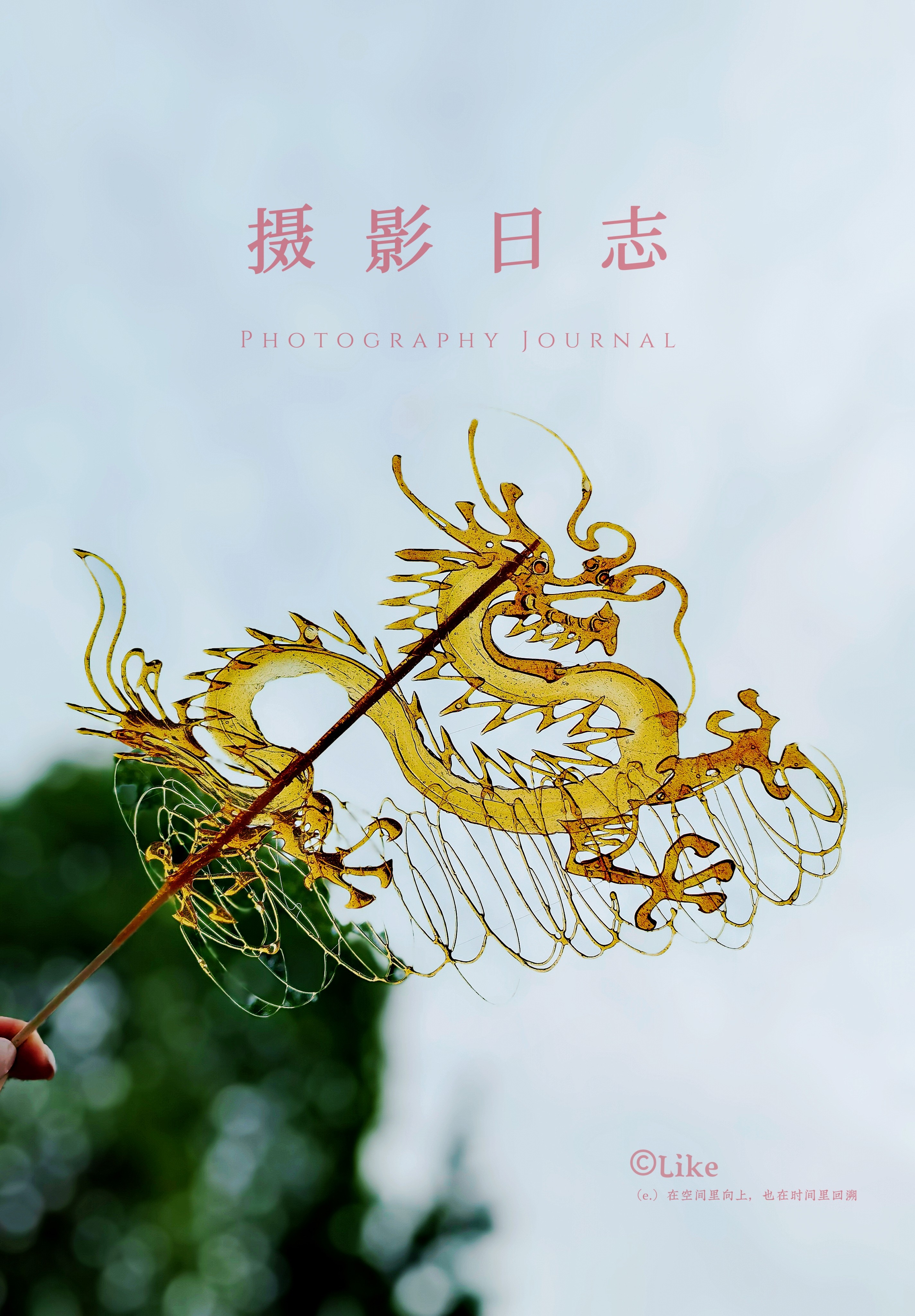 图片附件